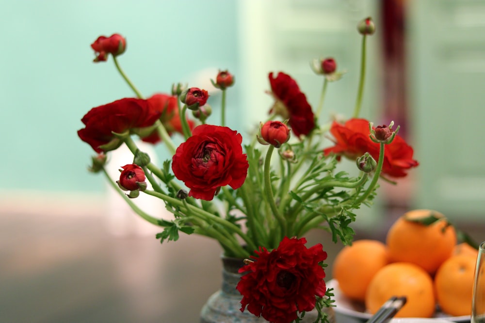 a vase filled with red flowers next to oranges