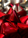 Close-up of colorful pet collars and bows arranged on a bright background