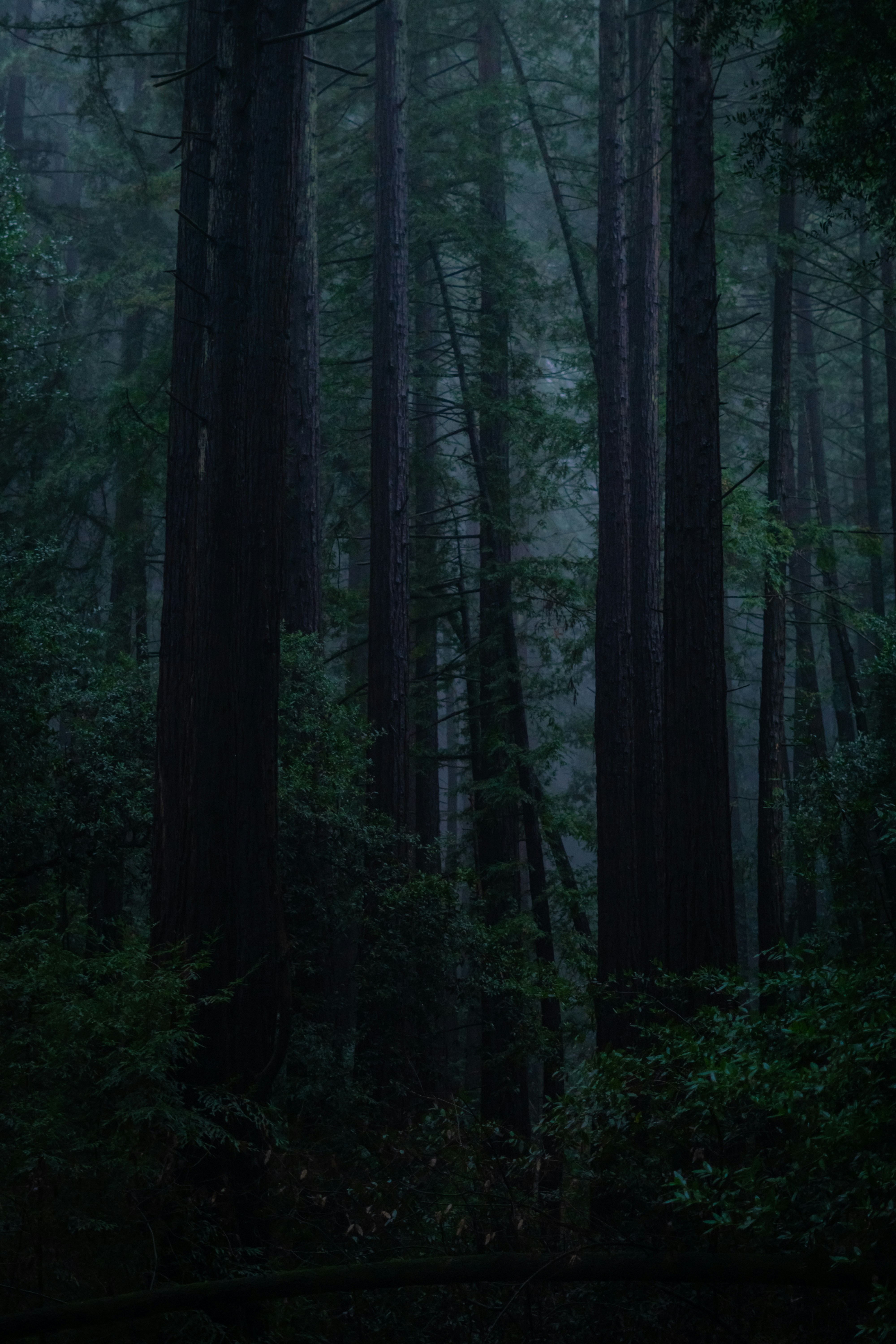 Photo by spencer_demera