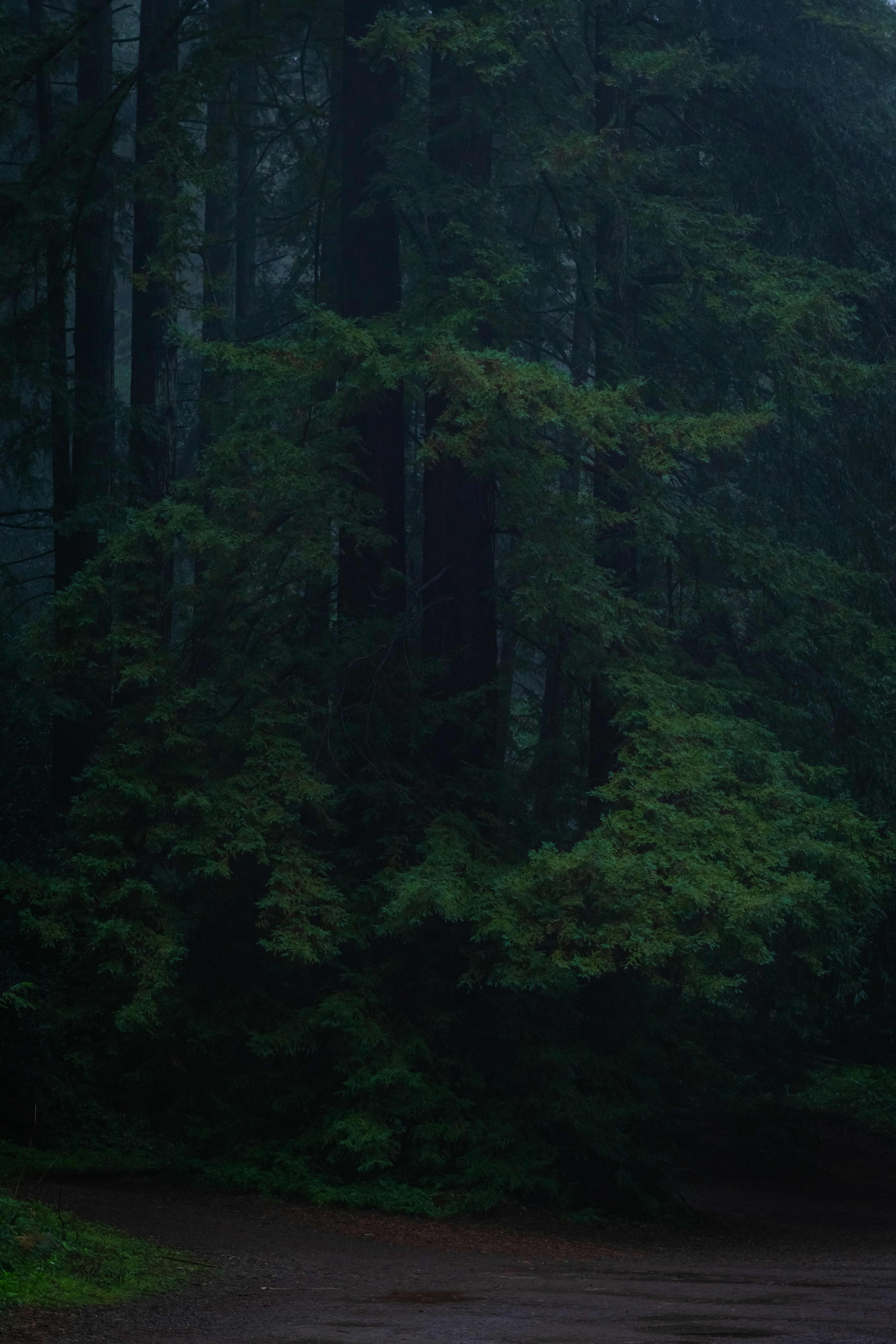 Photo by spencer_demera