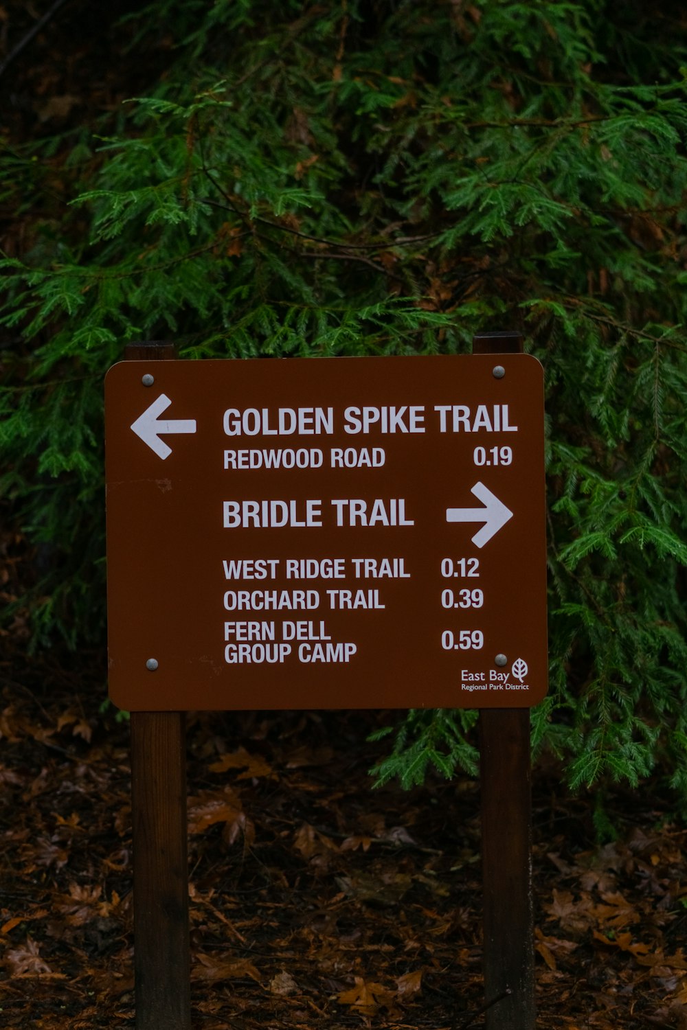 a brown sign with white arrows pointing in different directions