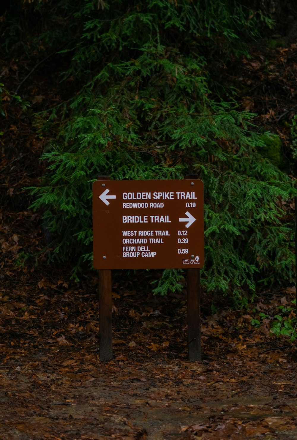 a sign pointing to the golden spike trail