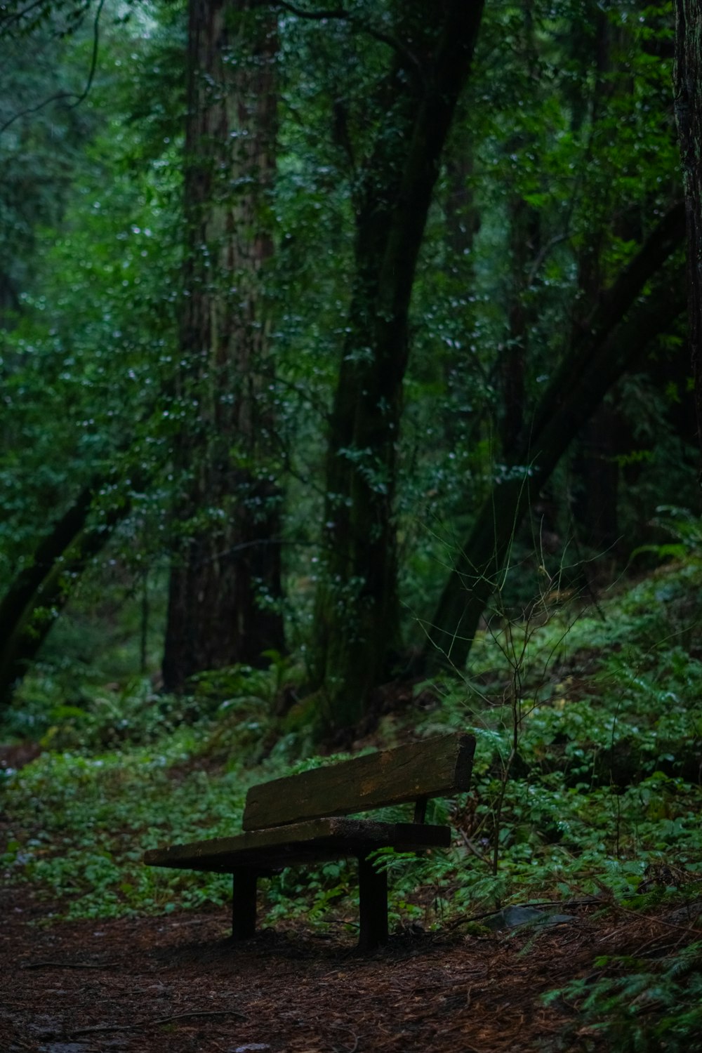 a wooden bench sitting in the middle of a forest