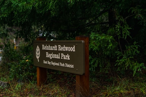 A wooden park sign surrounded by lush green foliage displays the name 'Reinhardt Redwood Regional Park' and mentions the East Bay Regional Park District. The area appears natural and serene, with various shades of green from the trees and undergrowth.