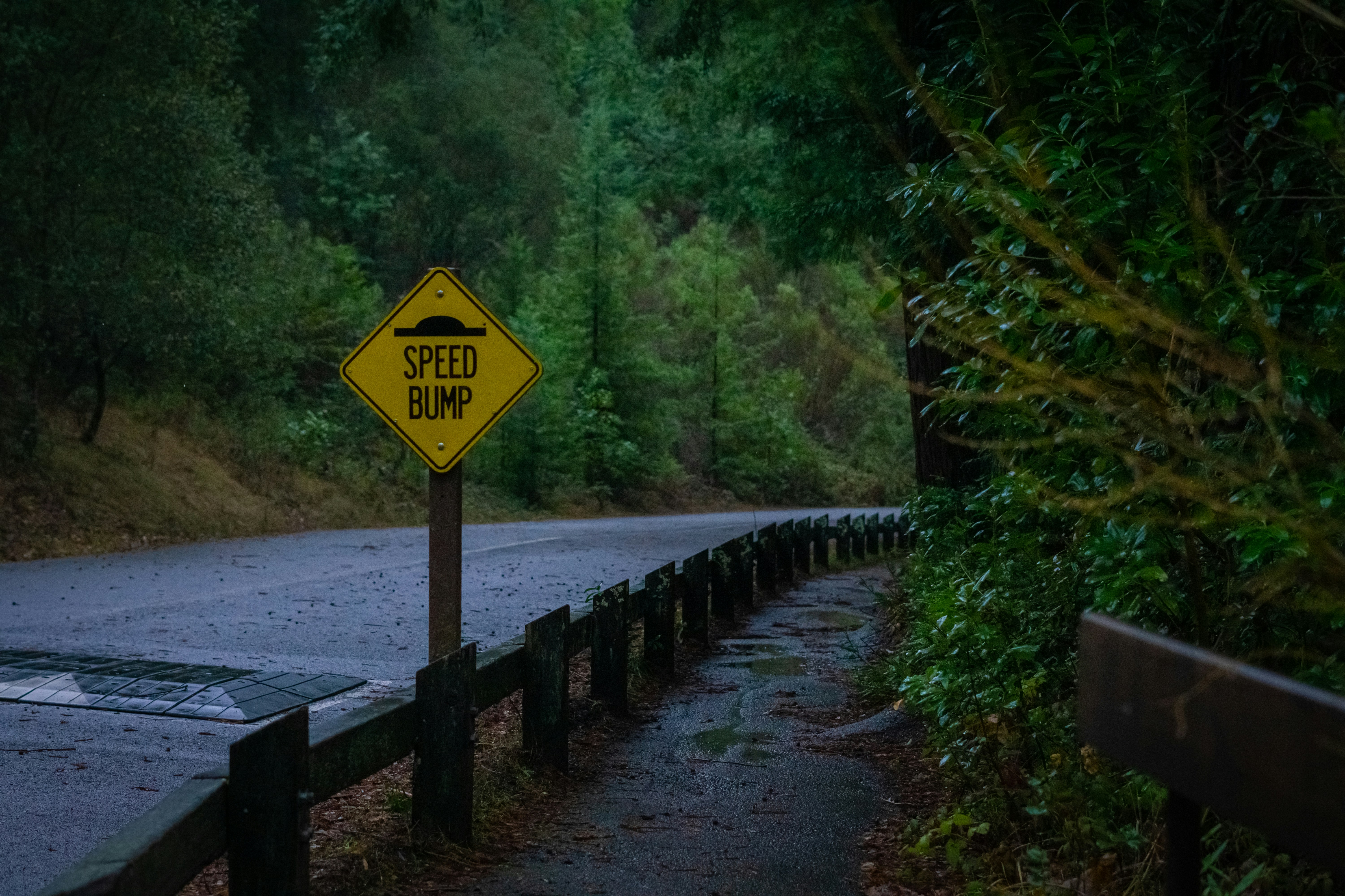 Photo by spencer_demera