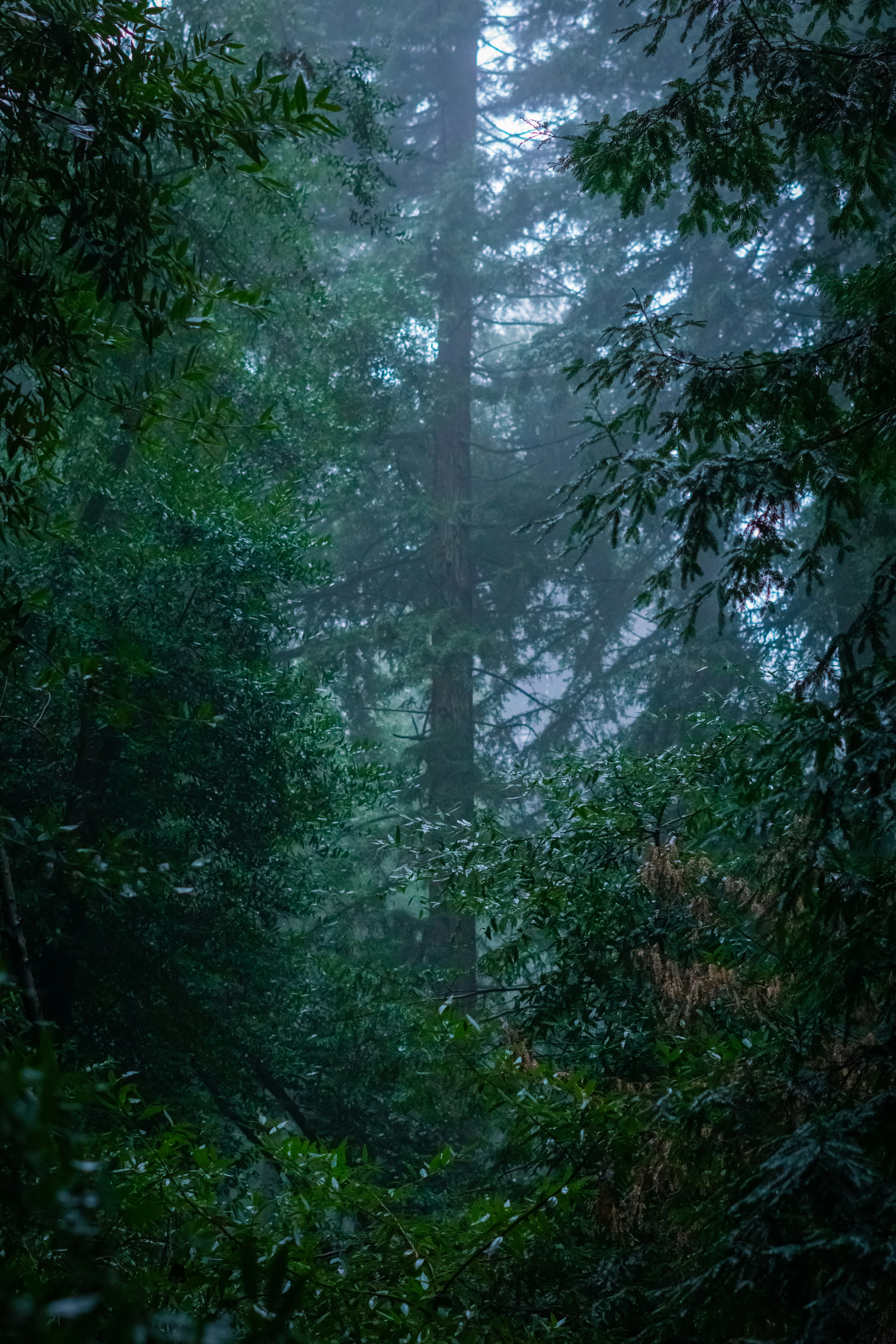 Photo by spencer_demera