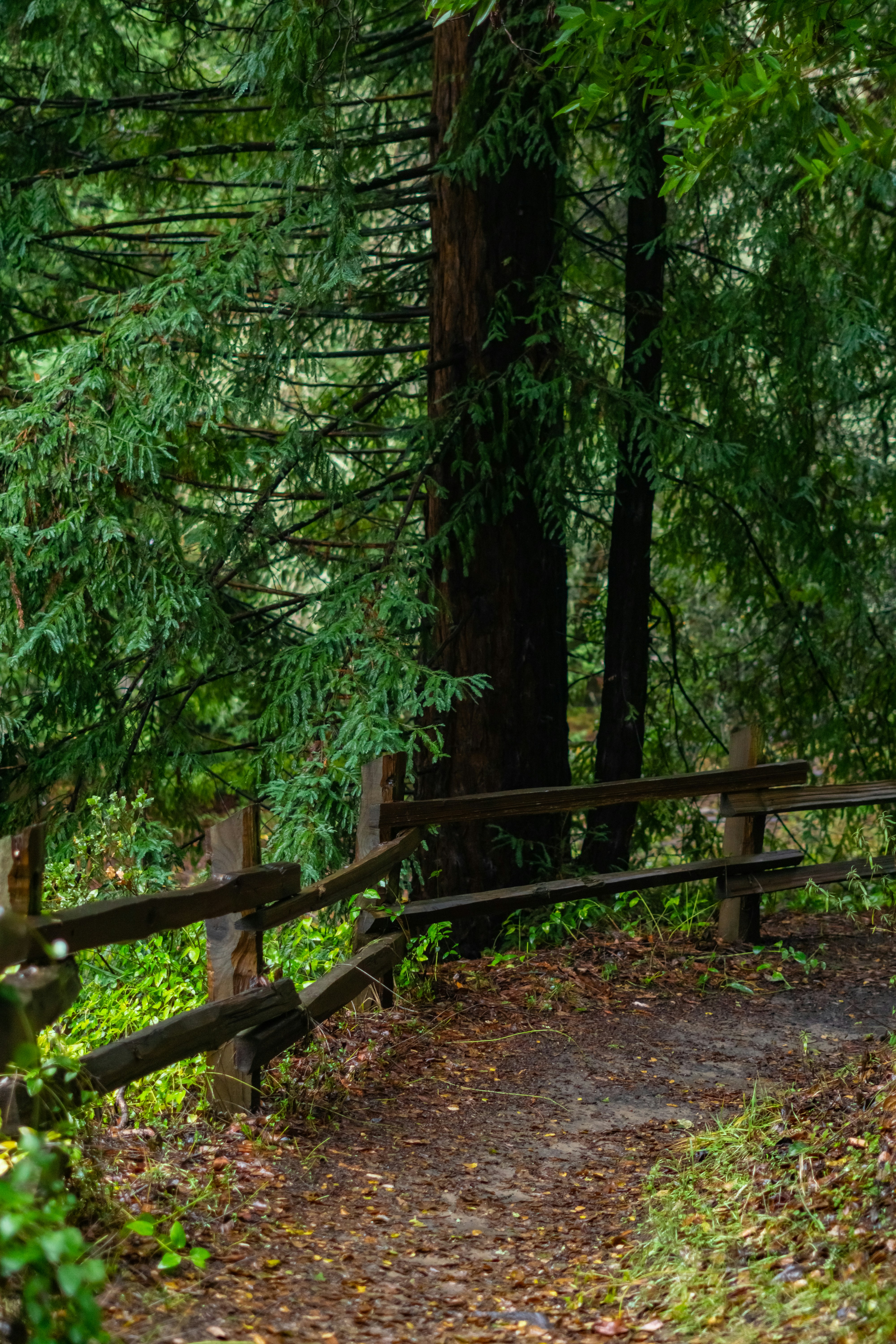 Photo by spencer_demera