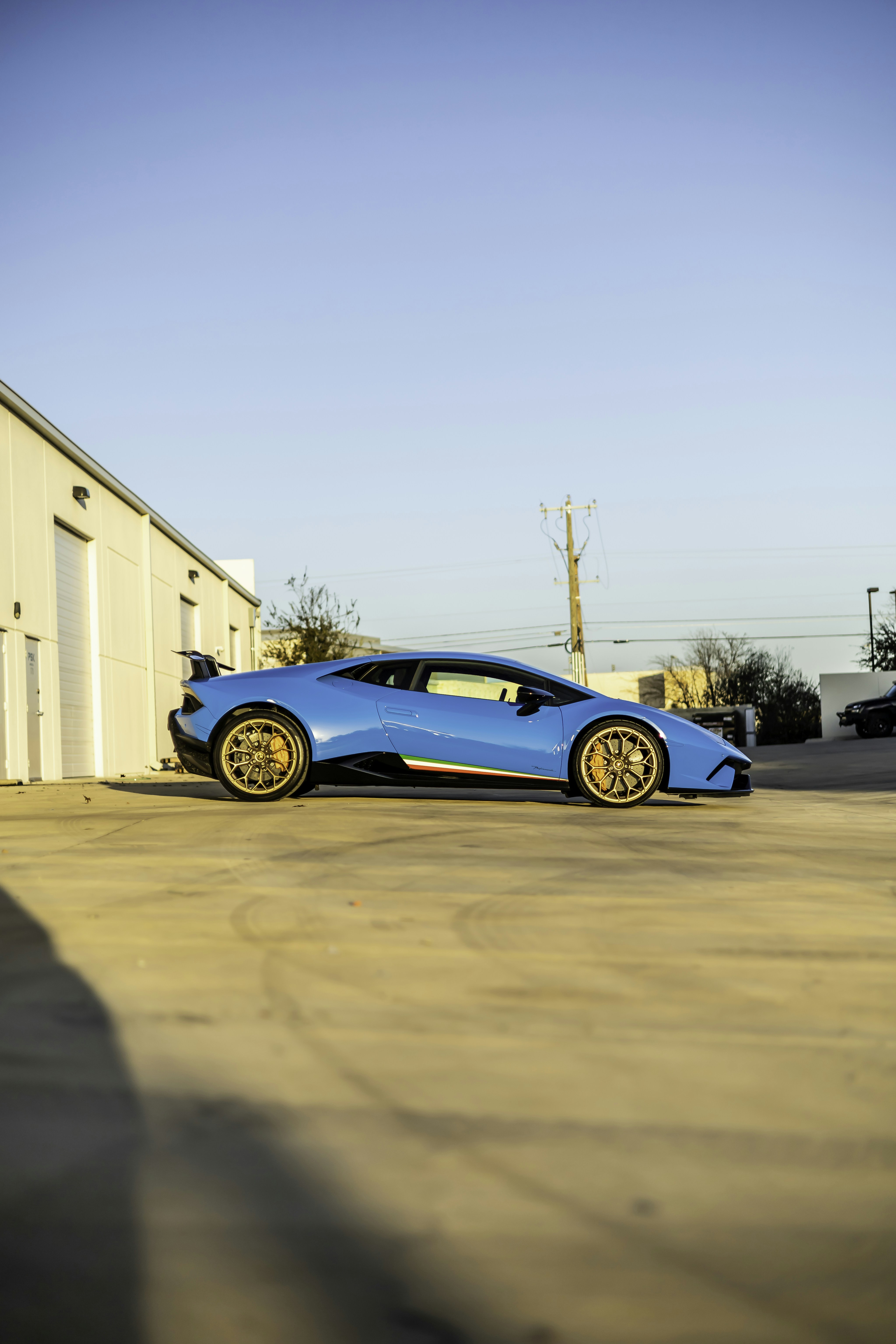 Photo by lonestarexotic