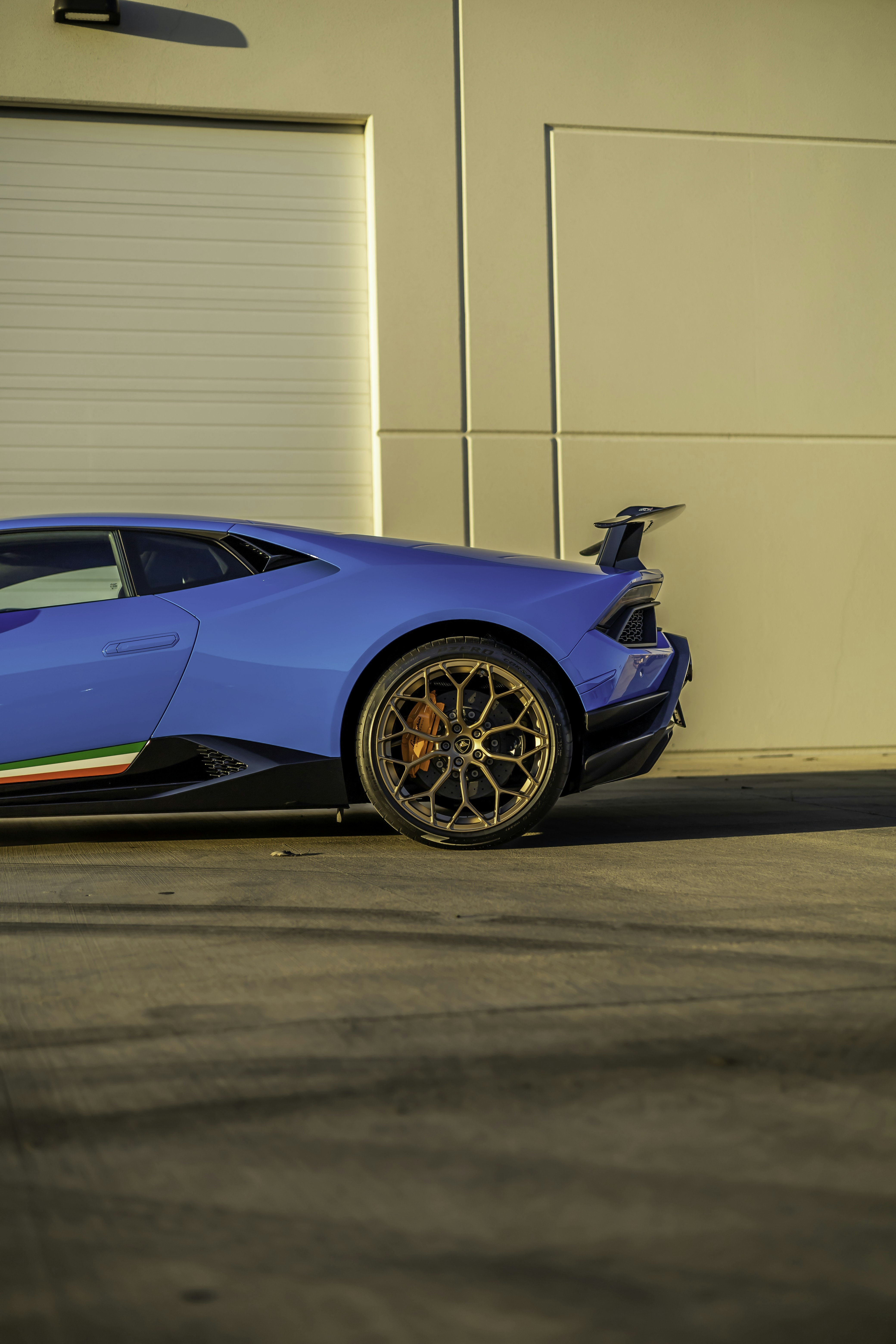 Photo by lonestarexotic