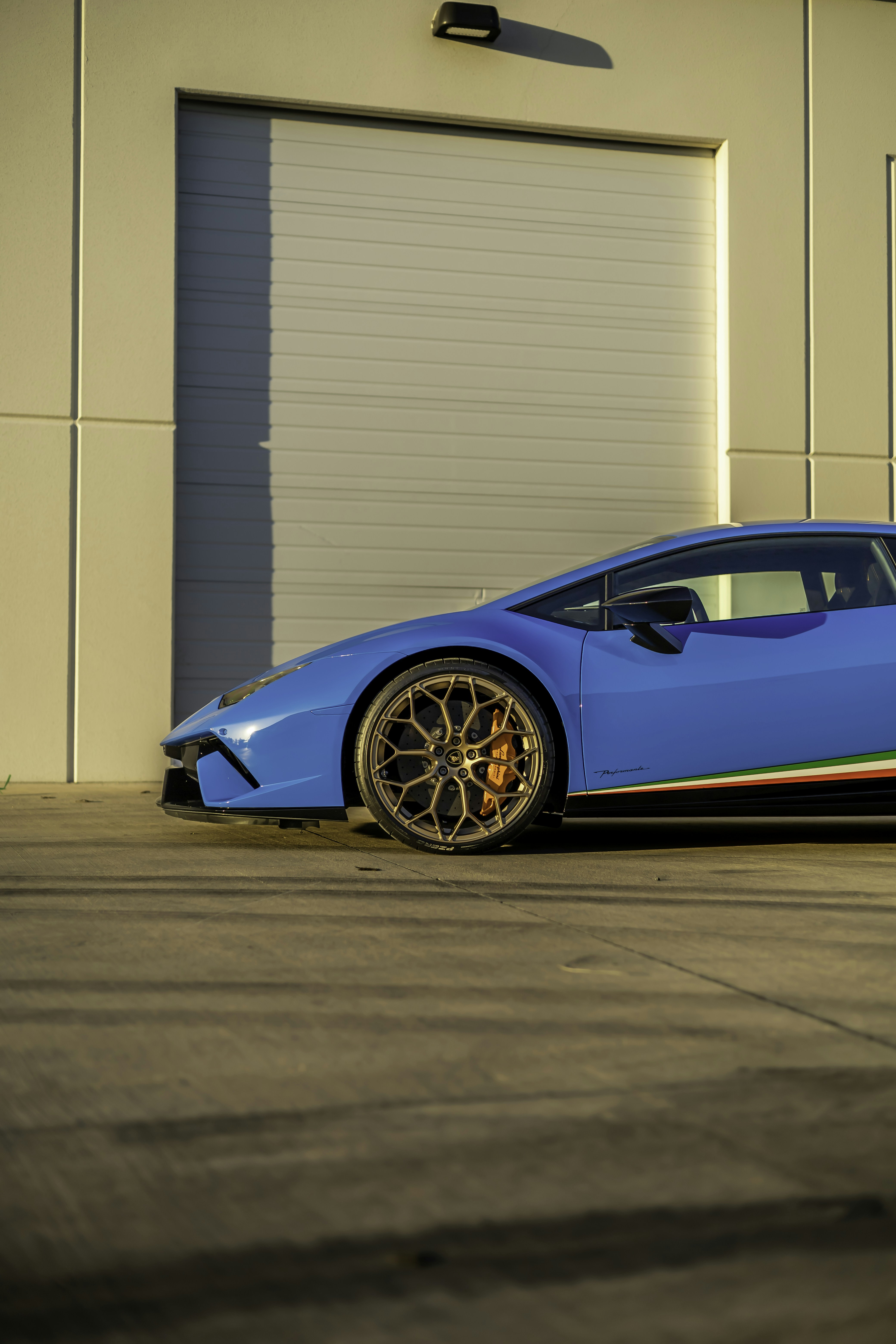 Photo by lonestarexotic