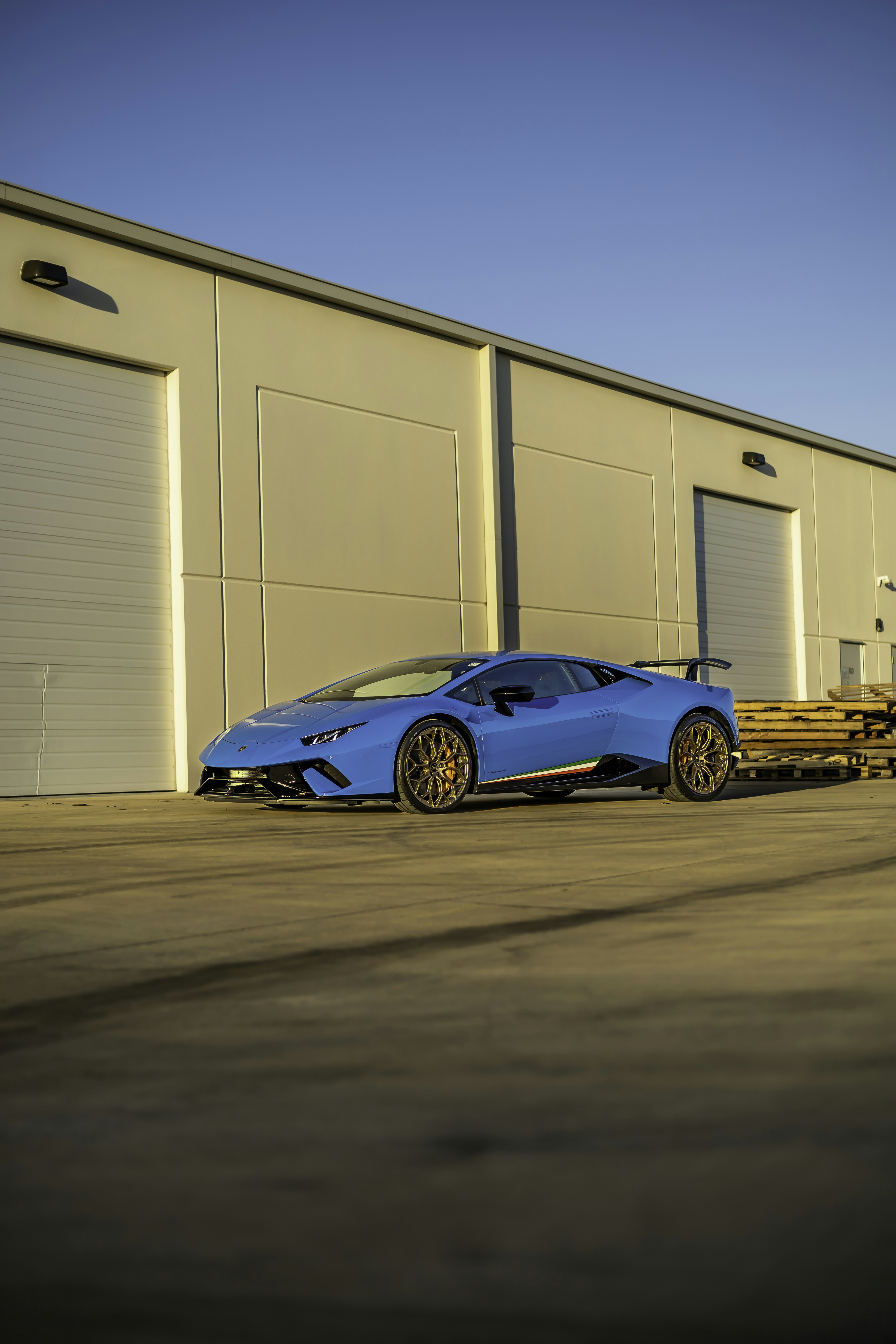 Photo by lonestarexotic