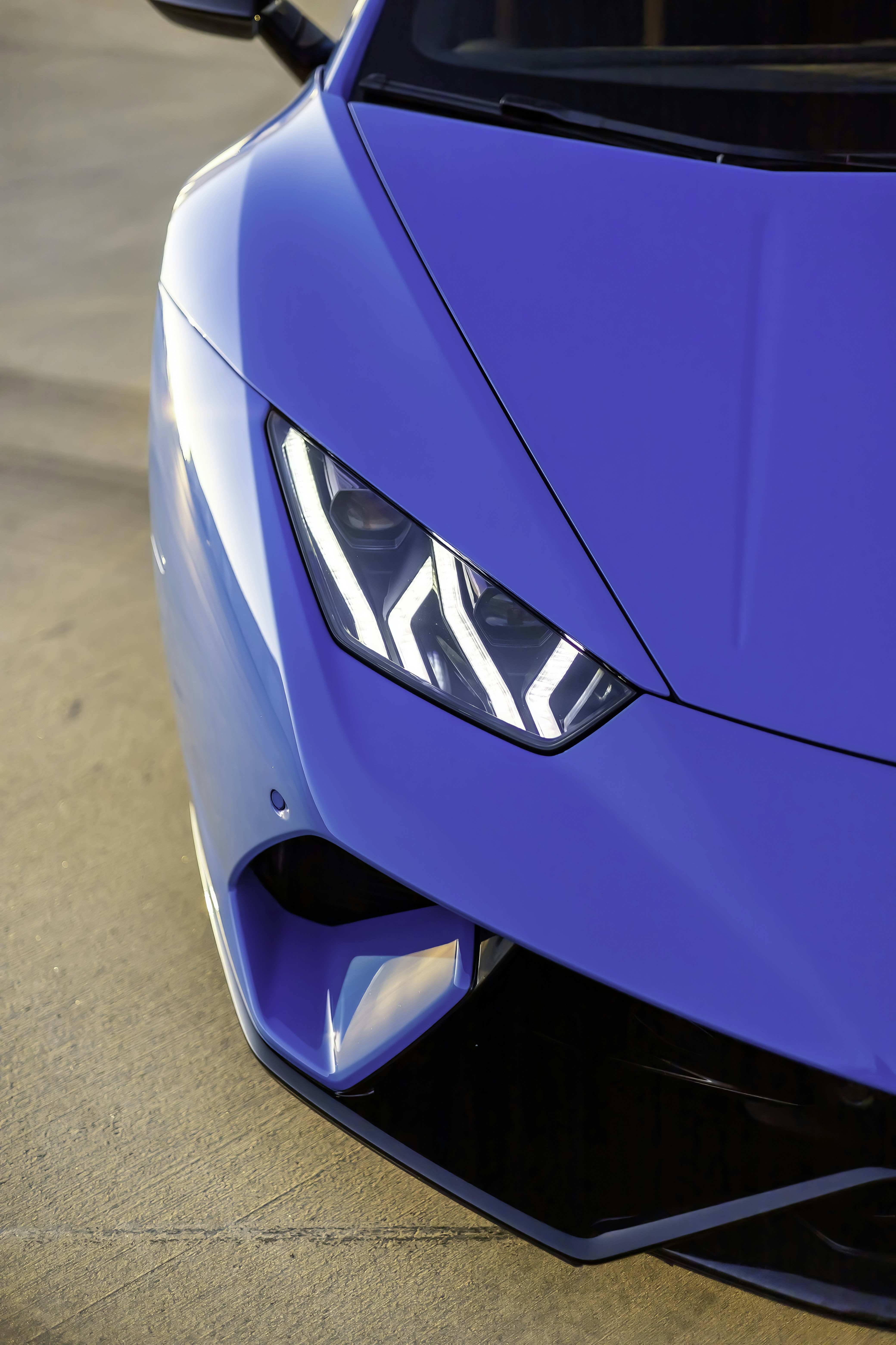 Photo by lonestarexotic