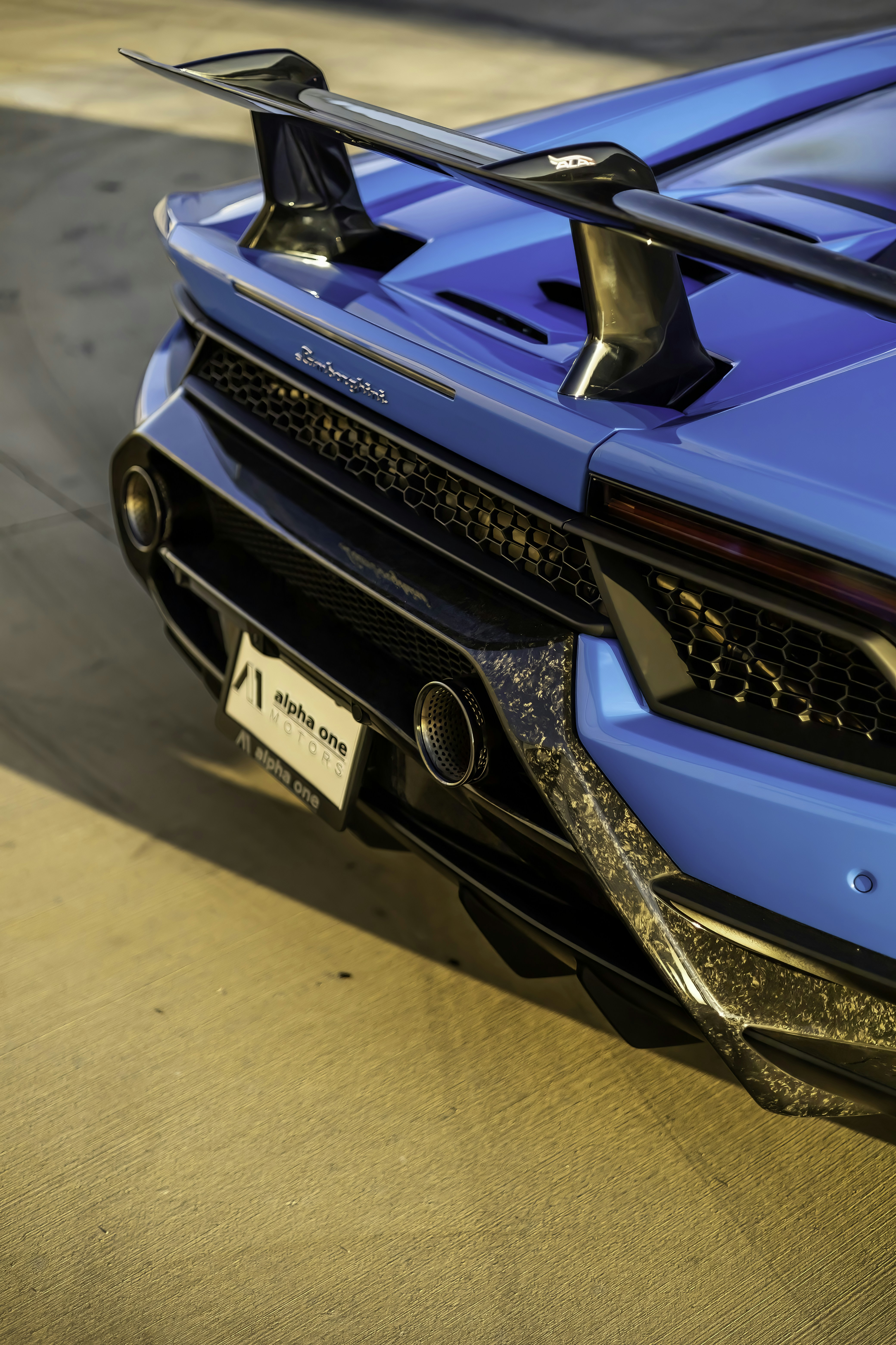 Photo by lonestarexotic