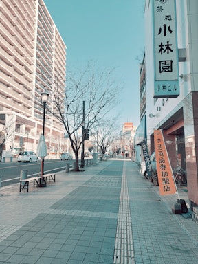 Calm residential street in Tokyo with modern low-rise buildings