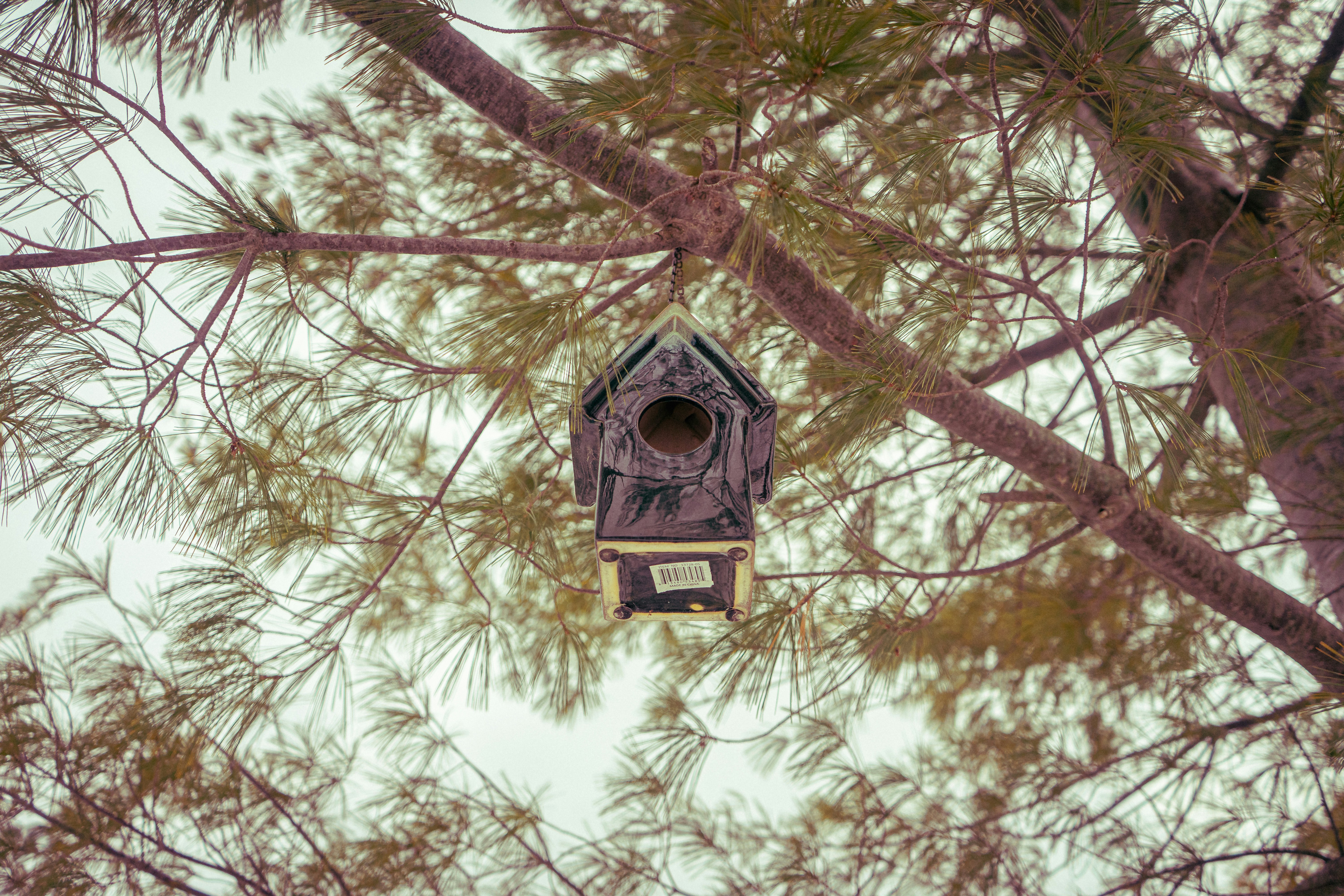 Photo by chris_thornton