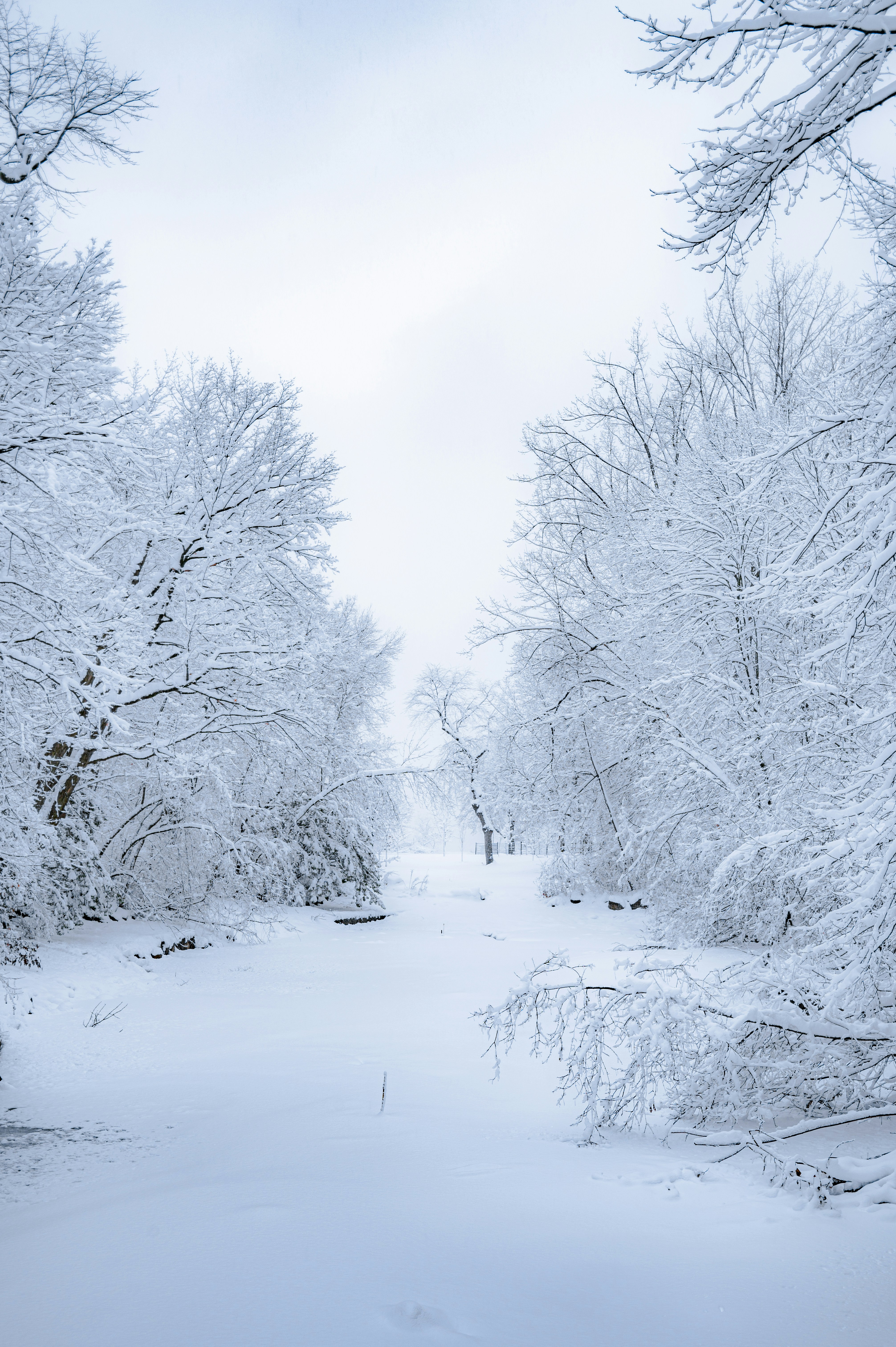 Photo by ryunosuke_kikuno