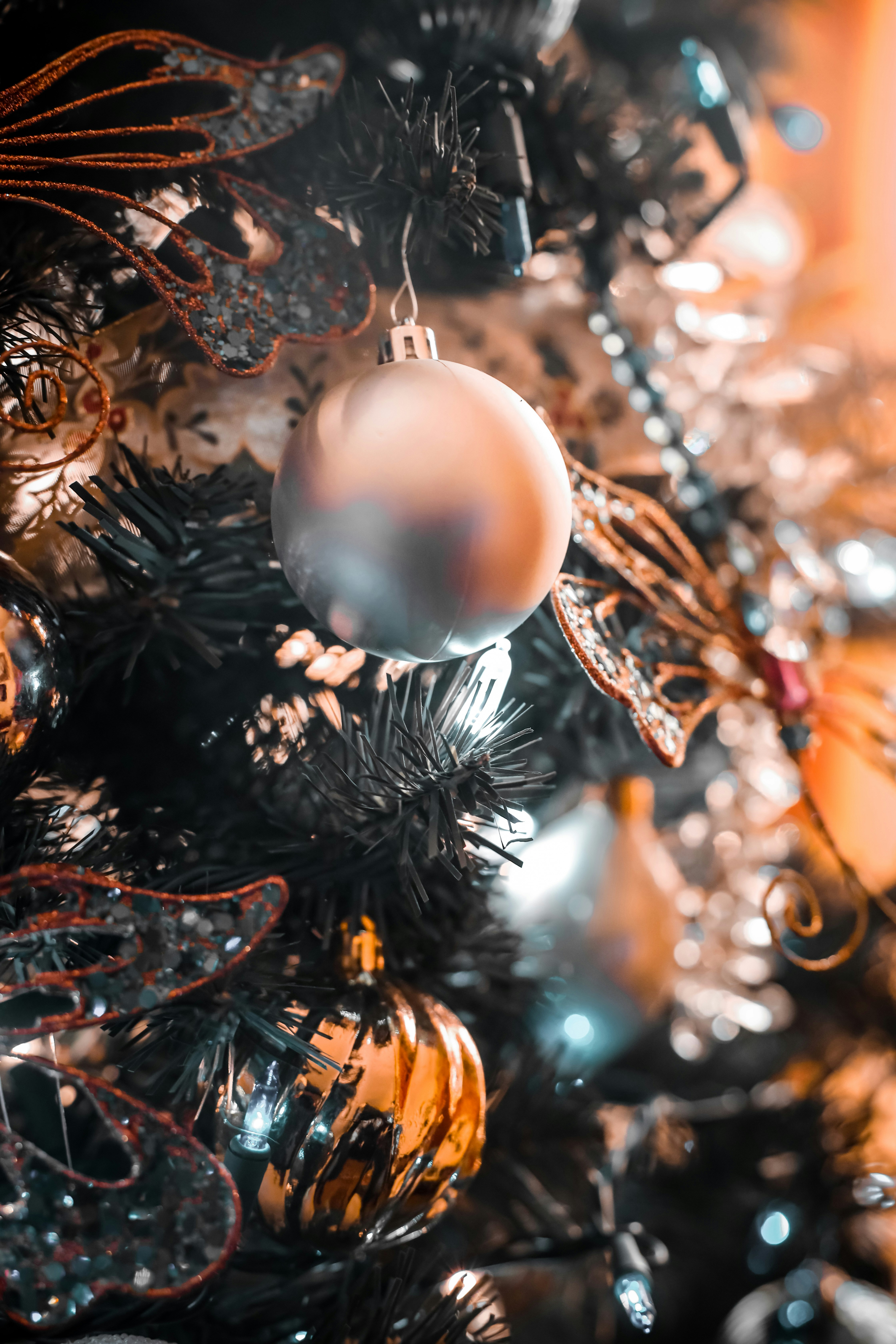 Photo by mannyalvarez