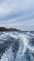 A ribx semi-rigid boat cutting smoothly through choppy coastal waters under a cloudy sky.