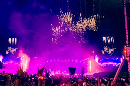 A vibrant crowd cheering under night lights at an outdoor music stage in South Africa.