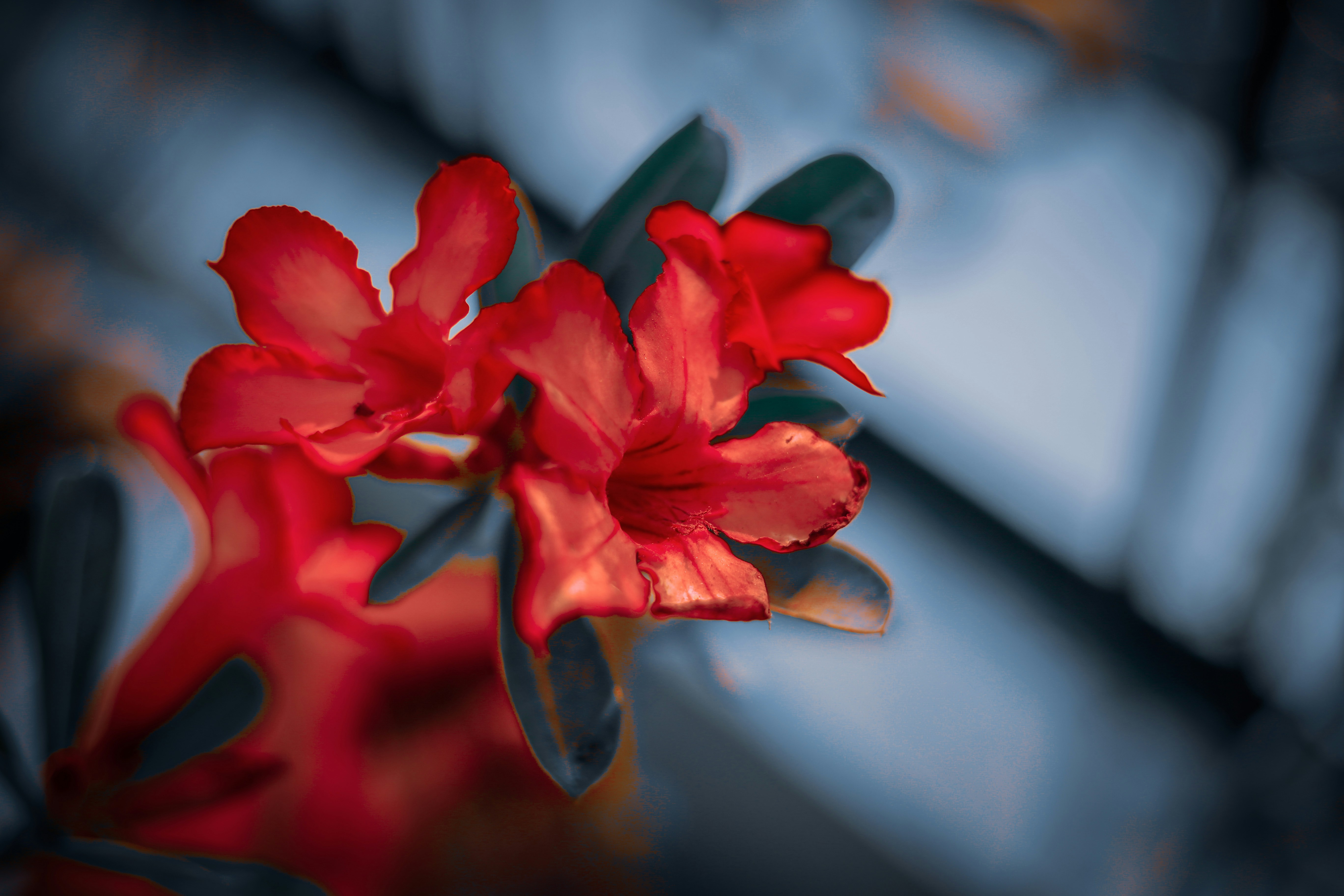 Photo by akash_verma