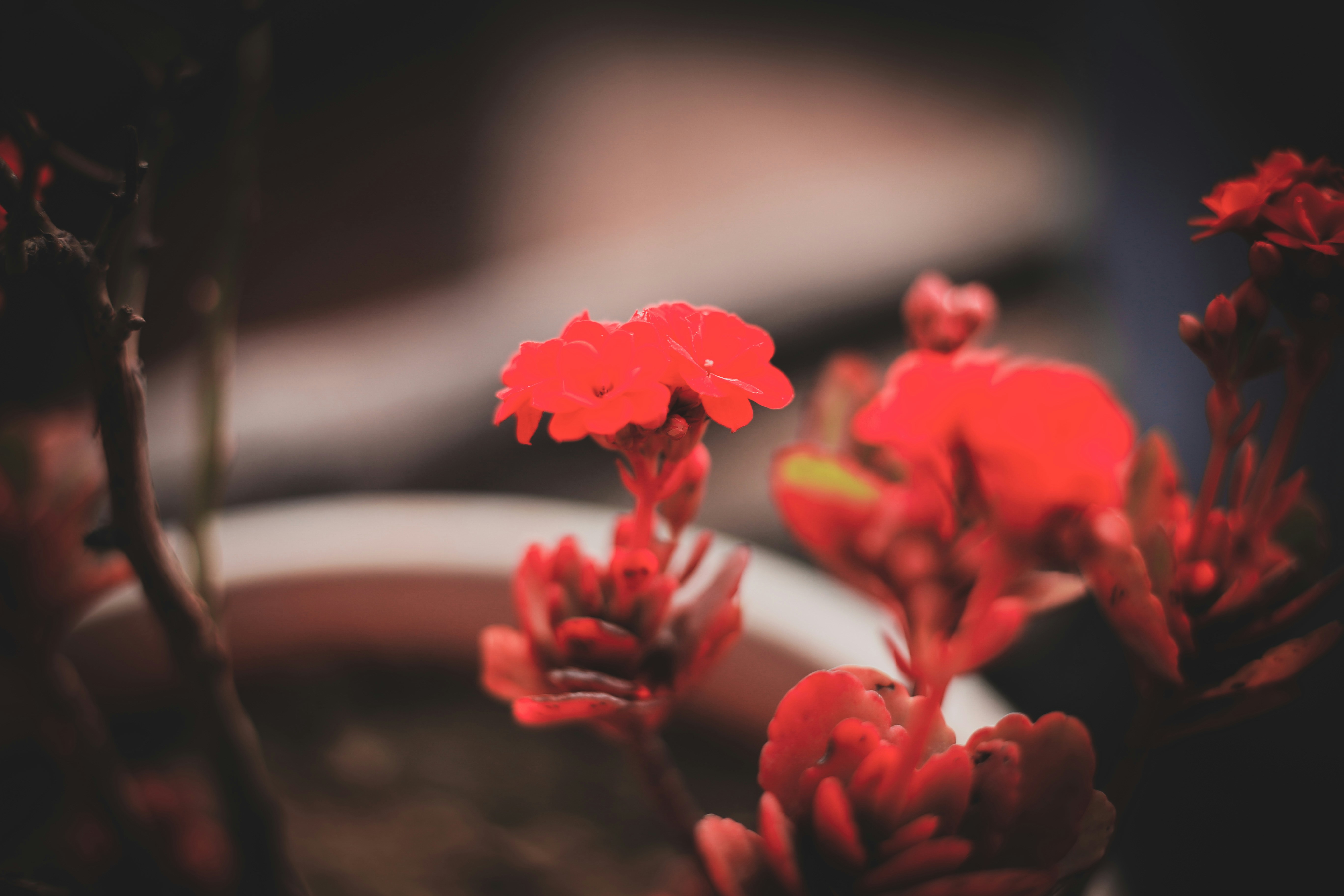 Photo by akash_verma