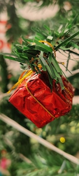 A small, shiny red gift box with a gold ribbon is hanging from a green, needle-like branch, which appears to be part of a Christmas tree. The background is blurred, showcasing more greenery and some hints of other decorations.