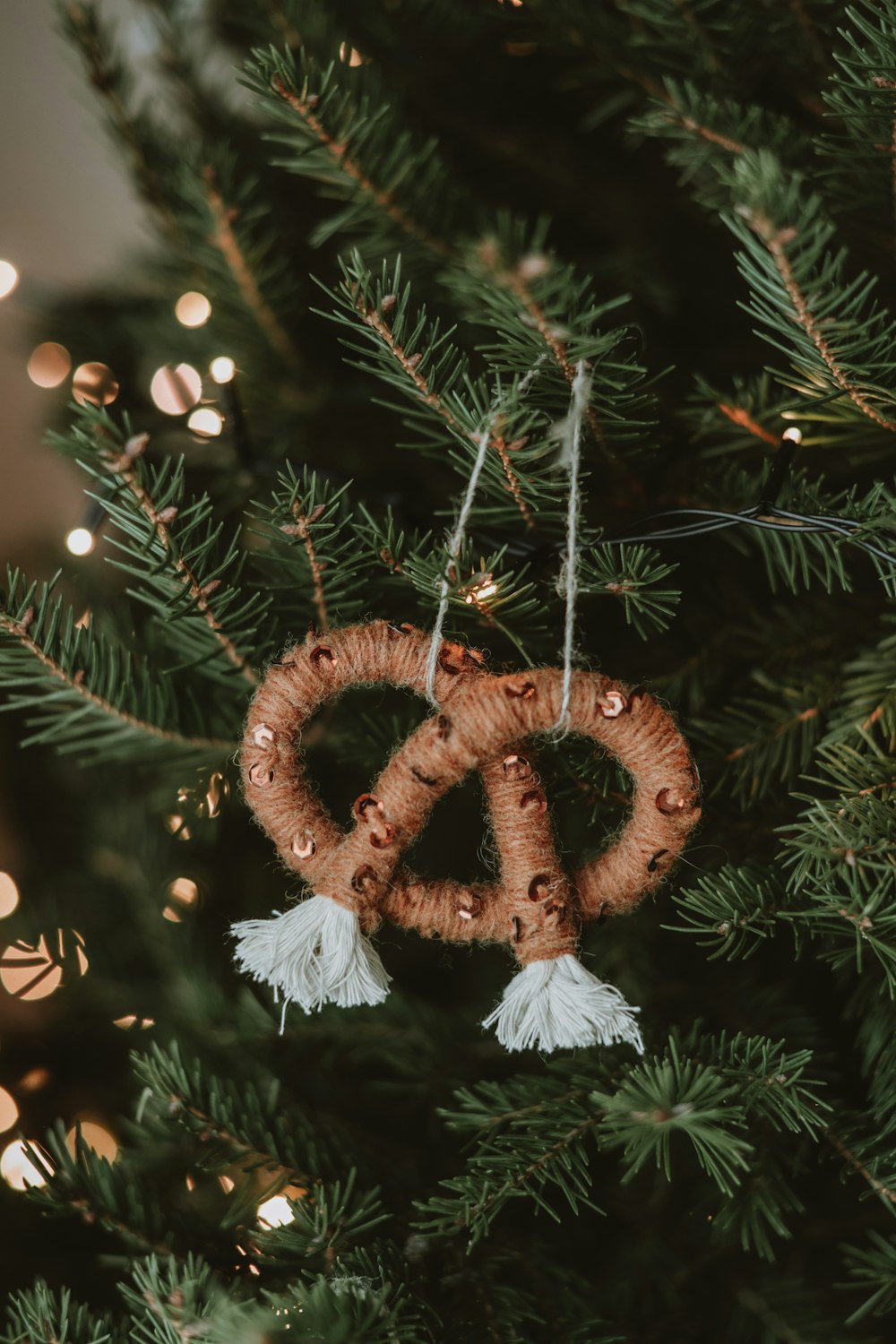 a christmas ornament hanging from a tree