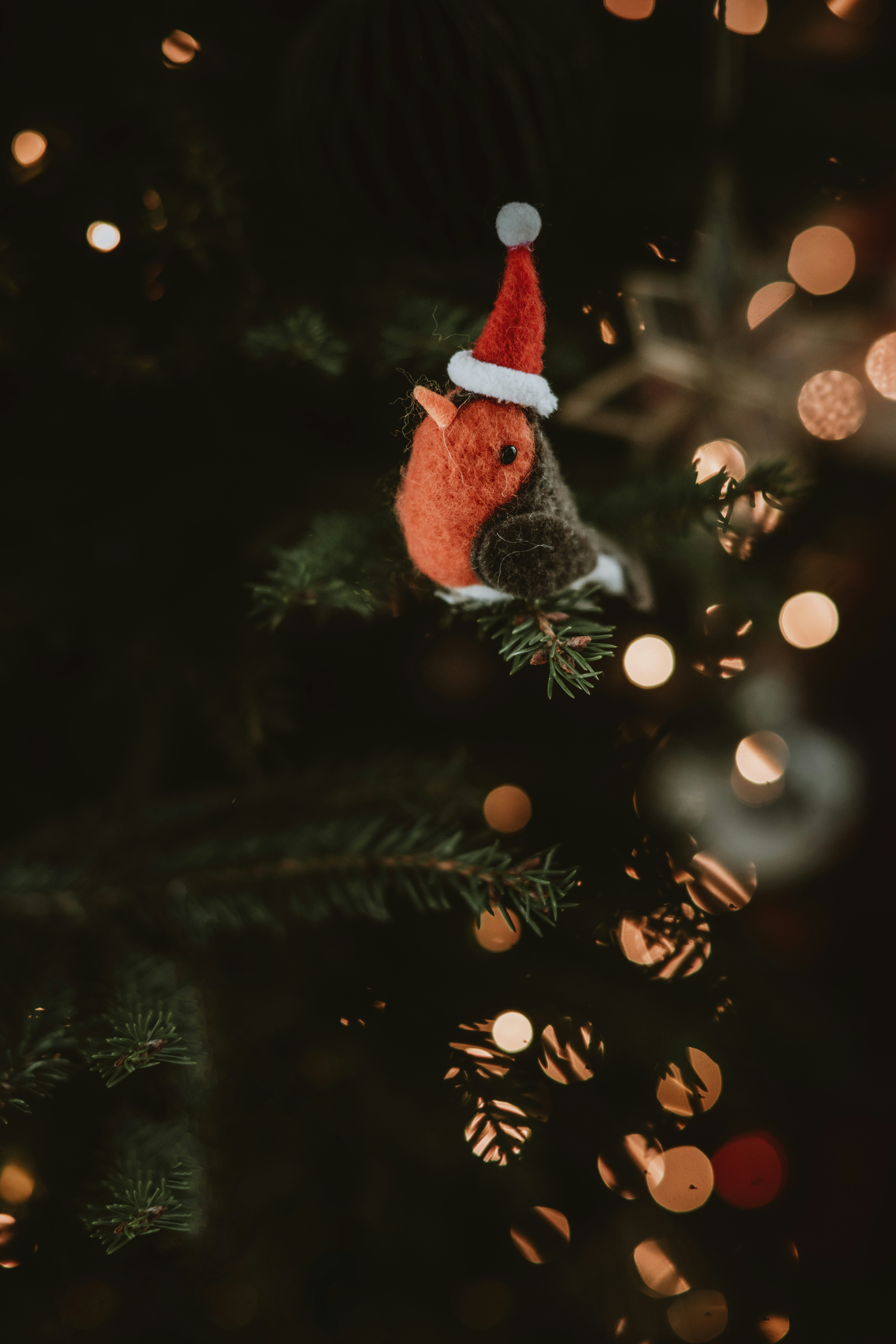 Photo by anitaaustvika