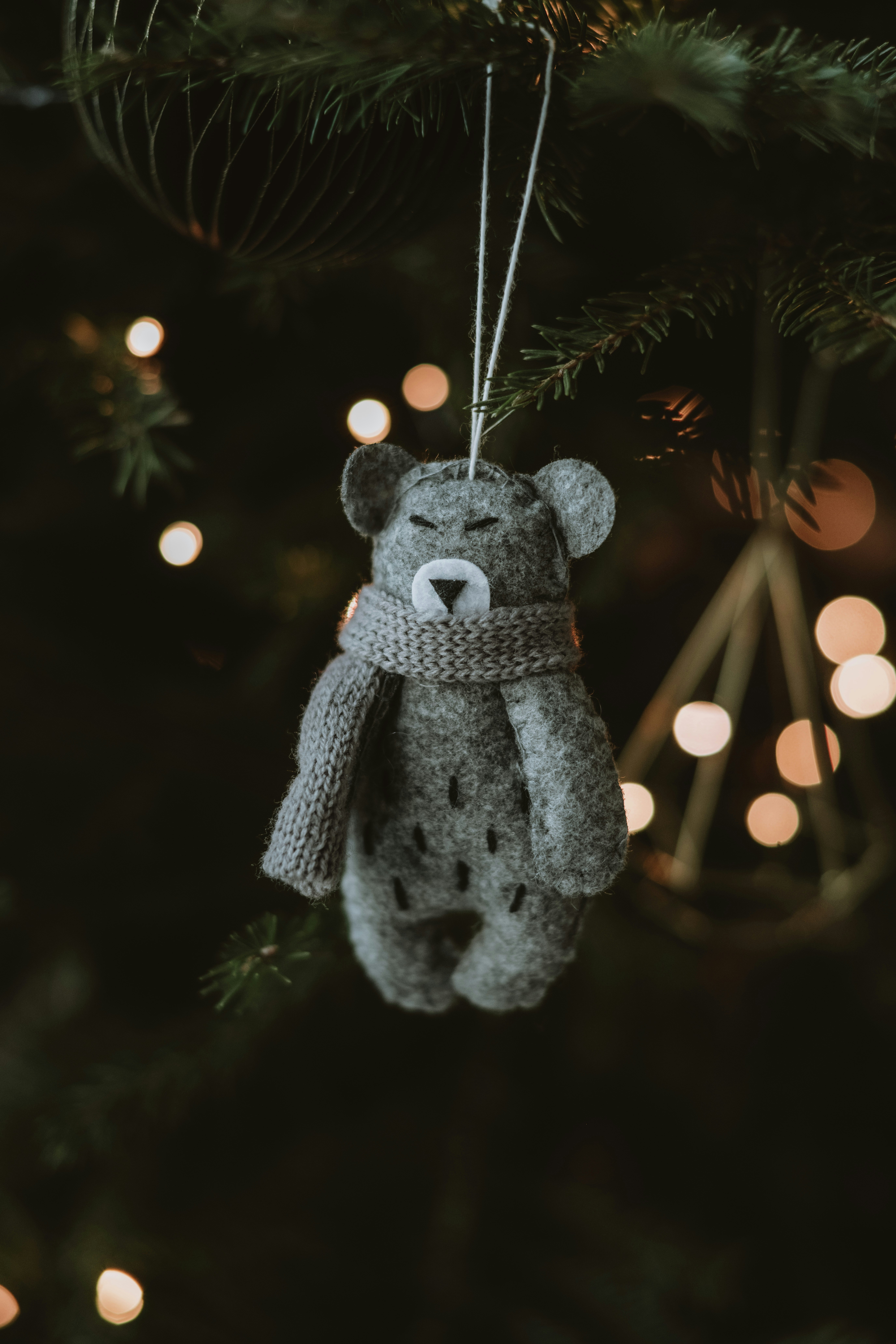 Photo by anitaaustvika