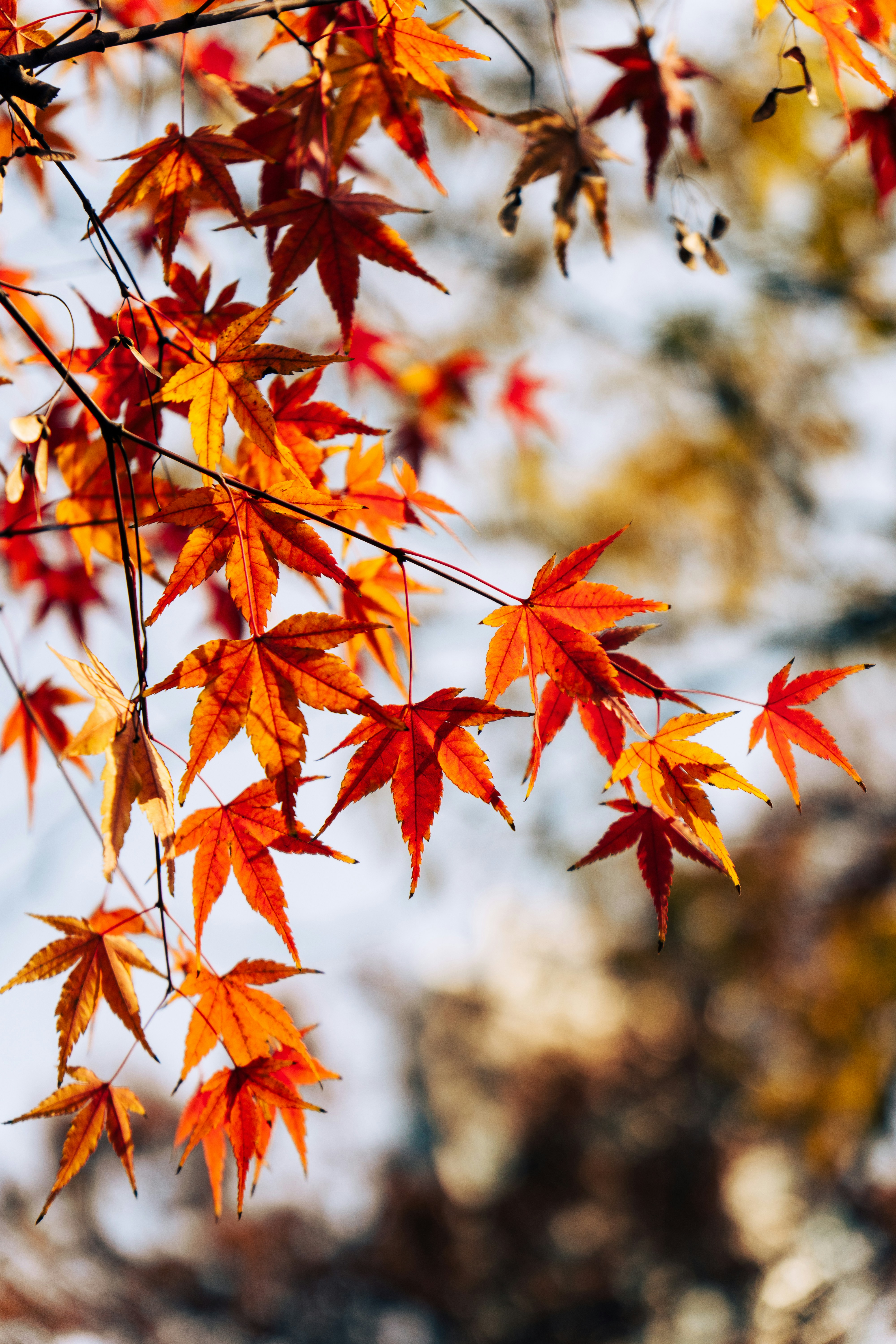 Photo by peterwang1996