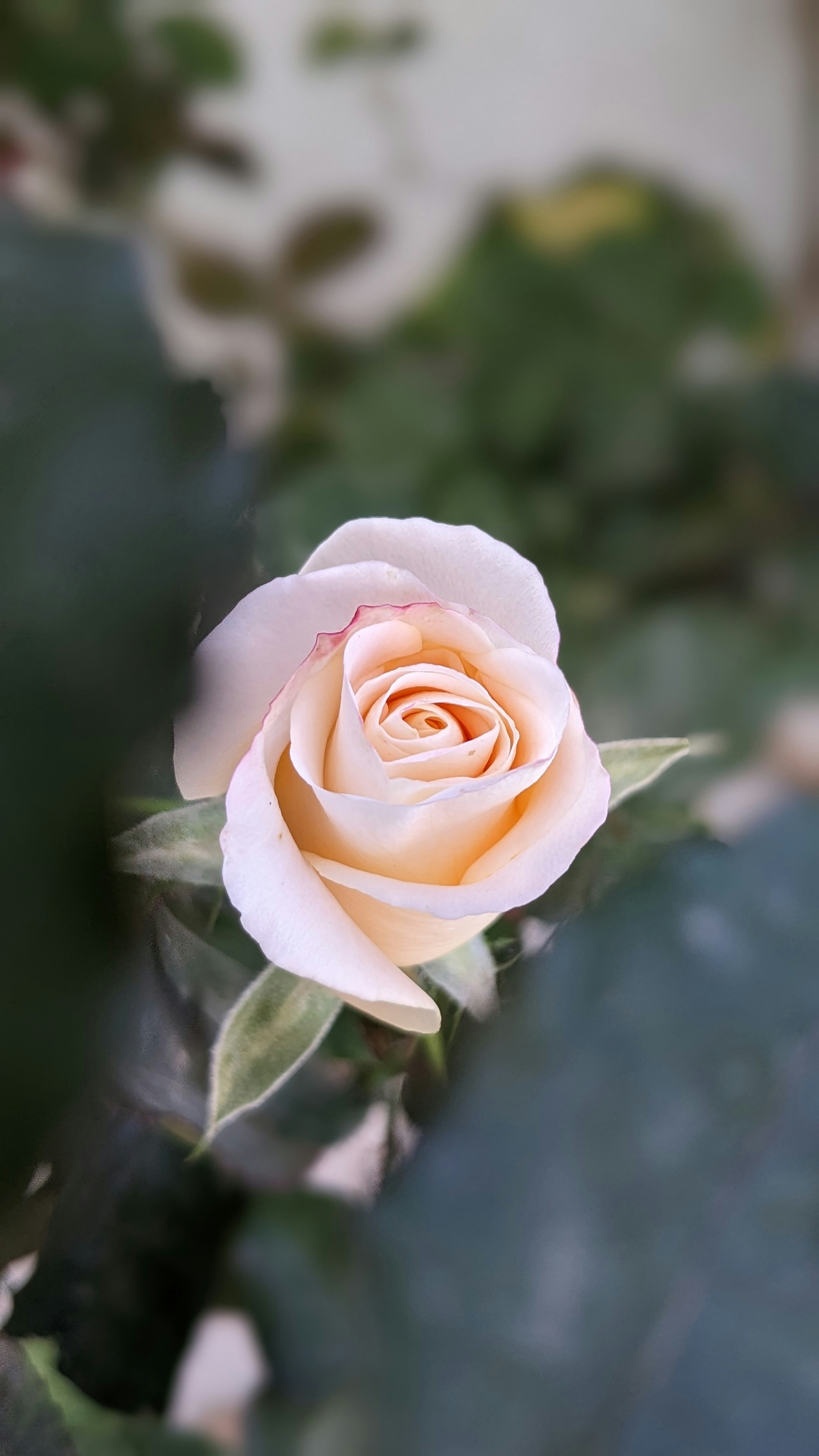 Photo by yassinebenmoussa