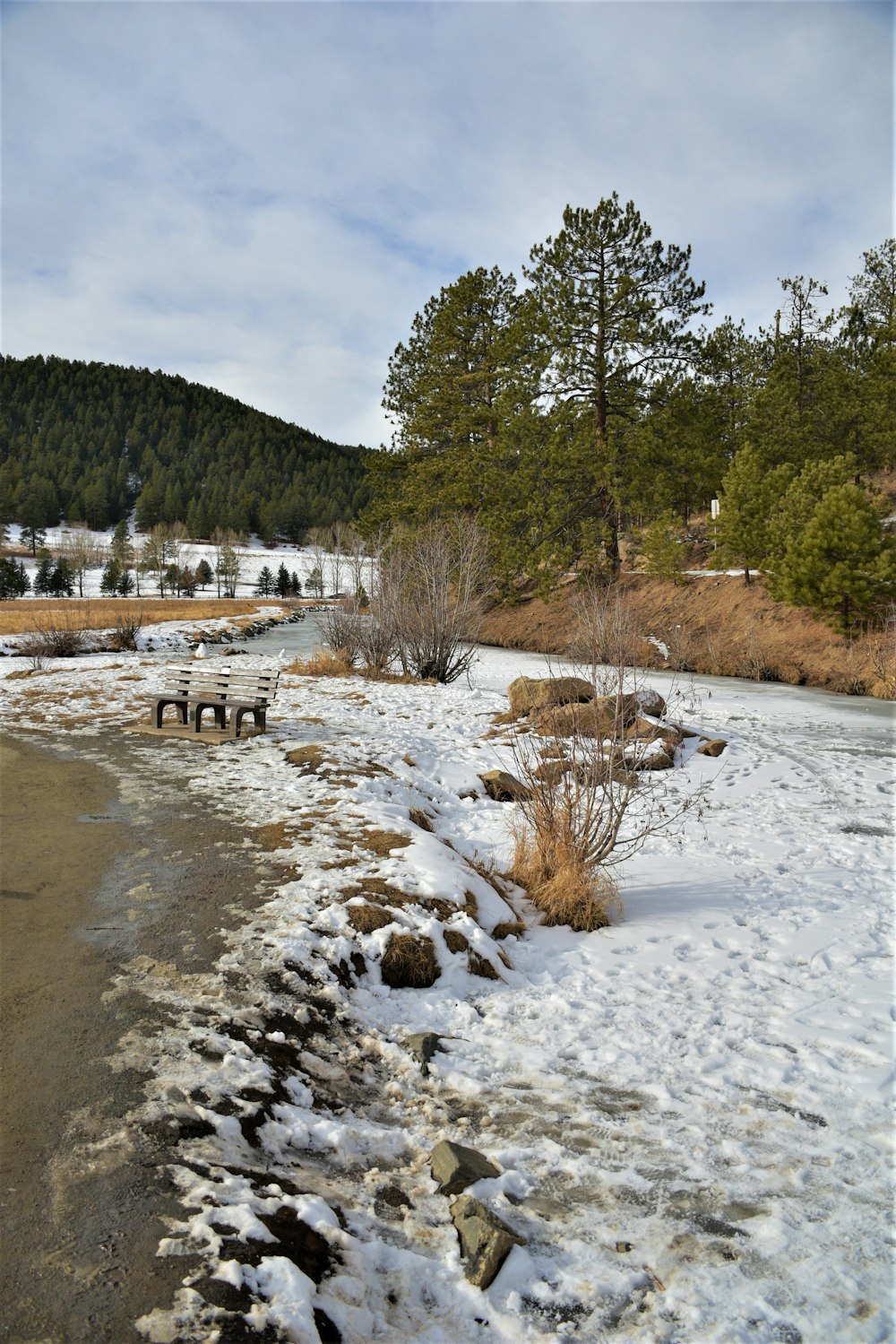 a river with snow on the ground and trees in the background