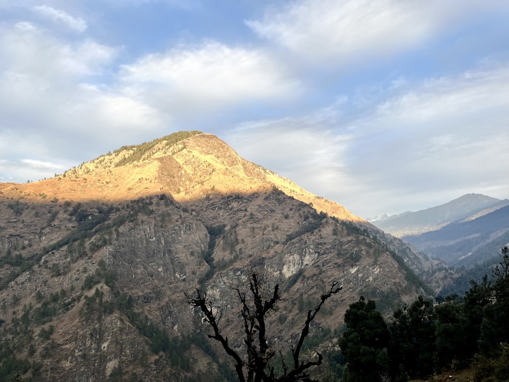 uma vista de uma montanha com uma árvore em primeiro plano