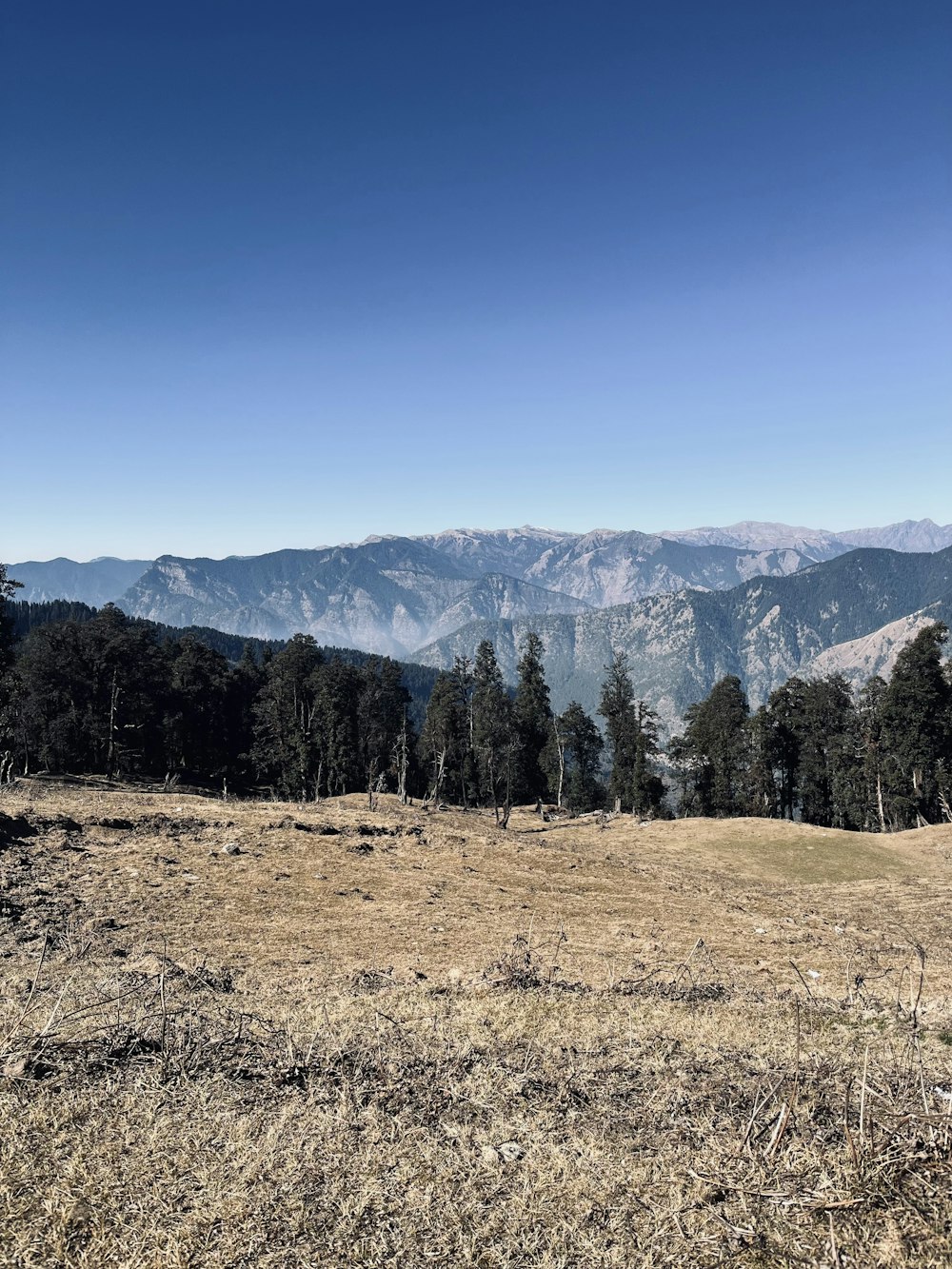 a grassy field with mountains in the background