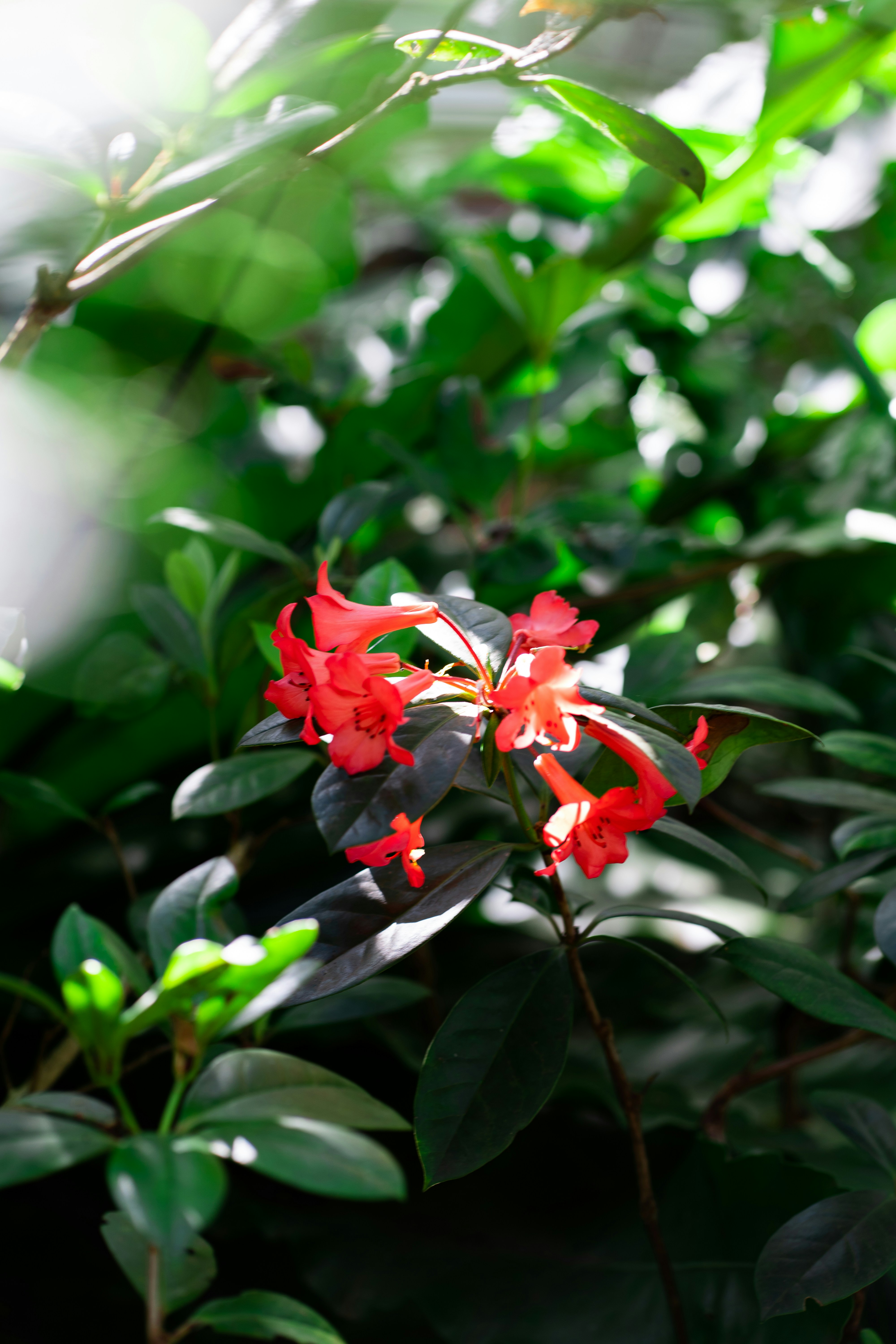 Photo by bgphotography