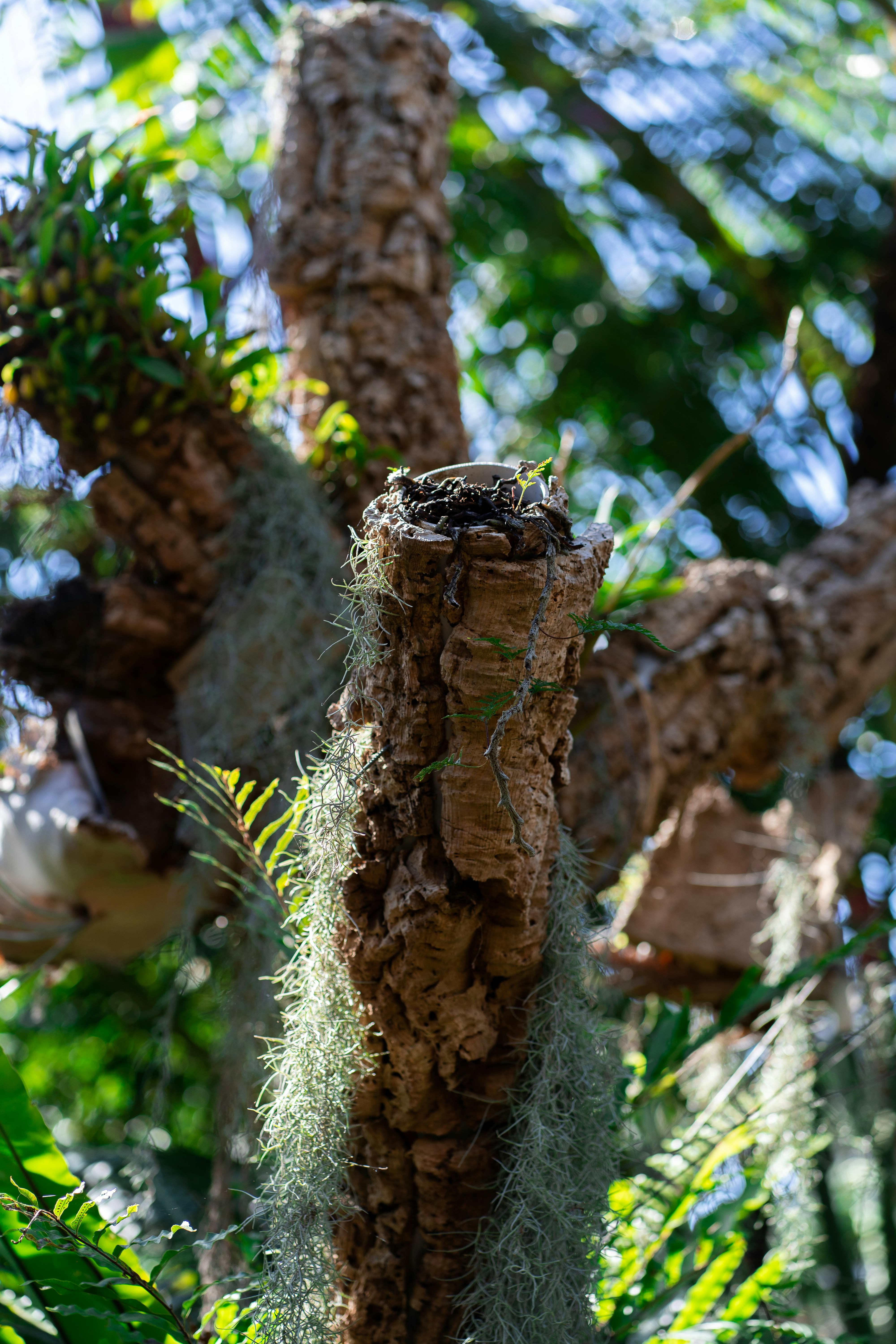 Photo by bgphotography