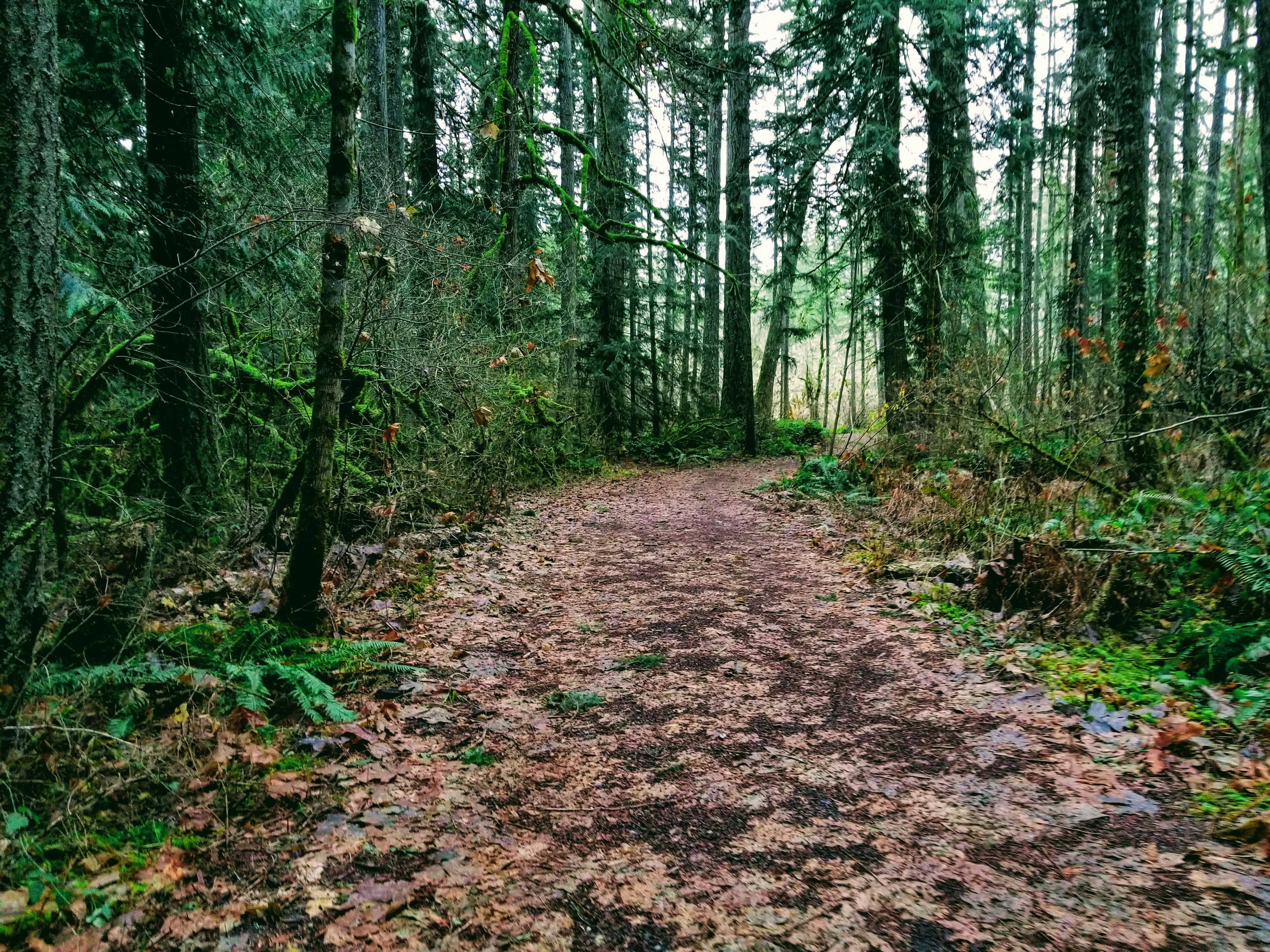 Photo by prphotography262