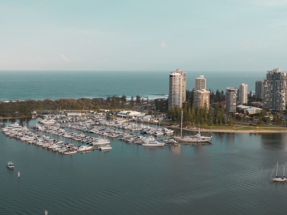 a marina with a lot of boats in it