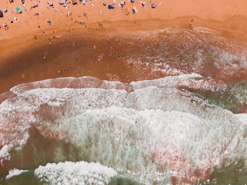 a group of people standing on top of a sandy beach