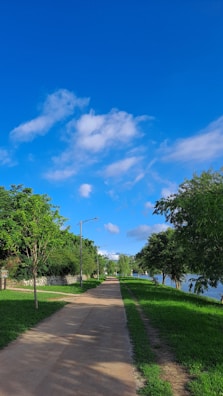A pathway stretches through a lush green park, lined with trees on both sides. The clear blue sky is dotted with a few white clouds. A street lamp stands along the path and a body of water is visible in the background.