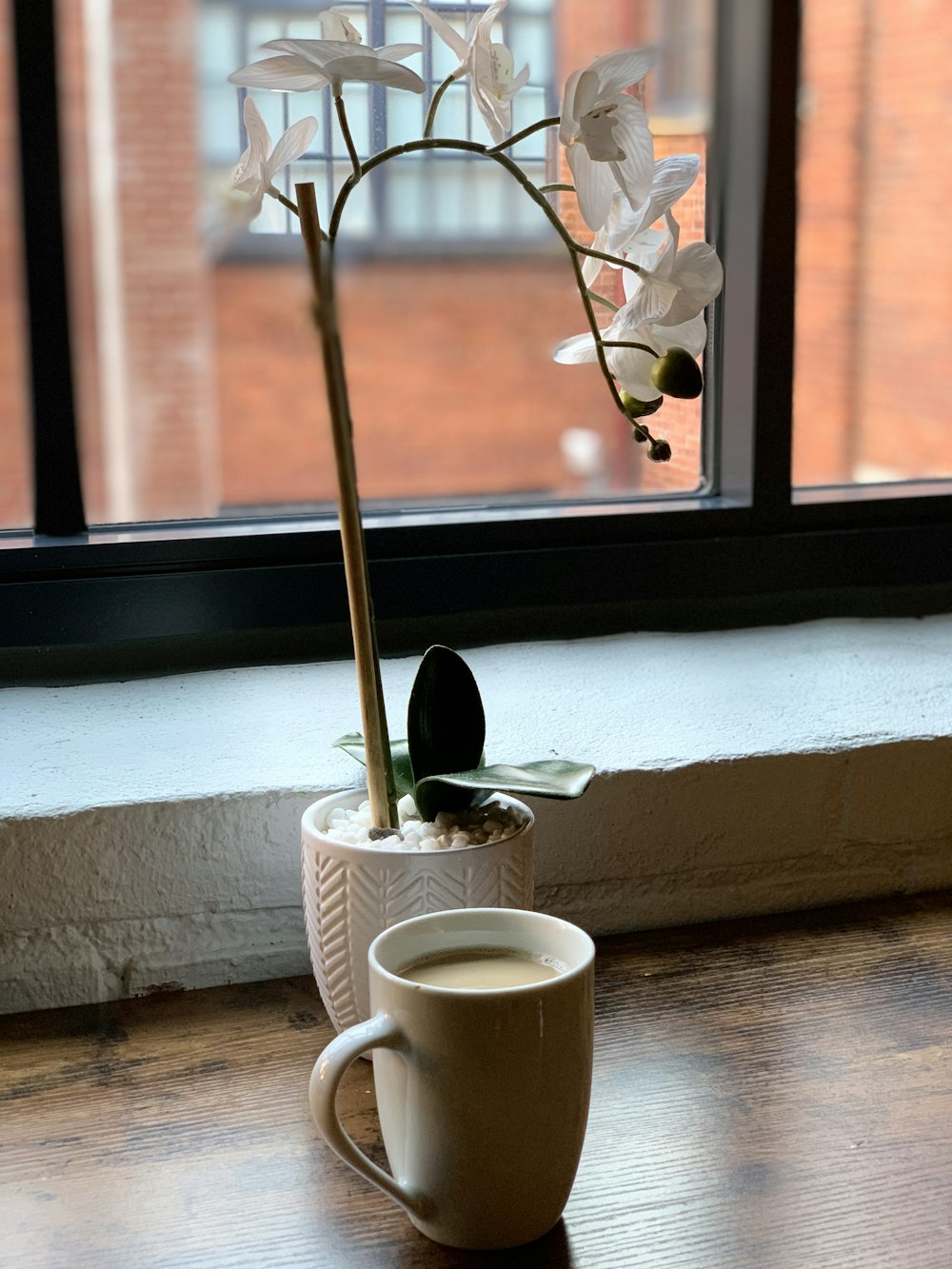 a cup of coffee with a flower in it