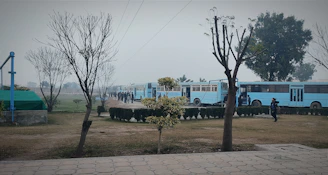 A fleet of clean, blue and white buses parked ready for community trips.