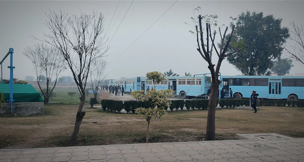 A fleet of clean, blue and white buses parked ready for community trips.