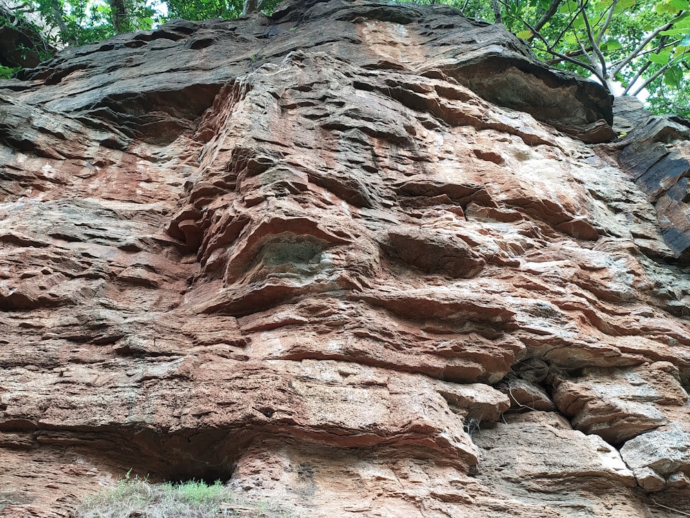 a large rock face with trees in the background