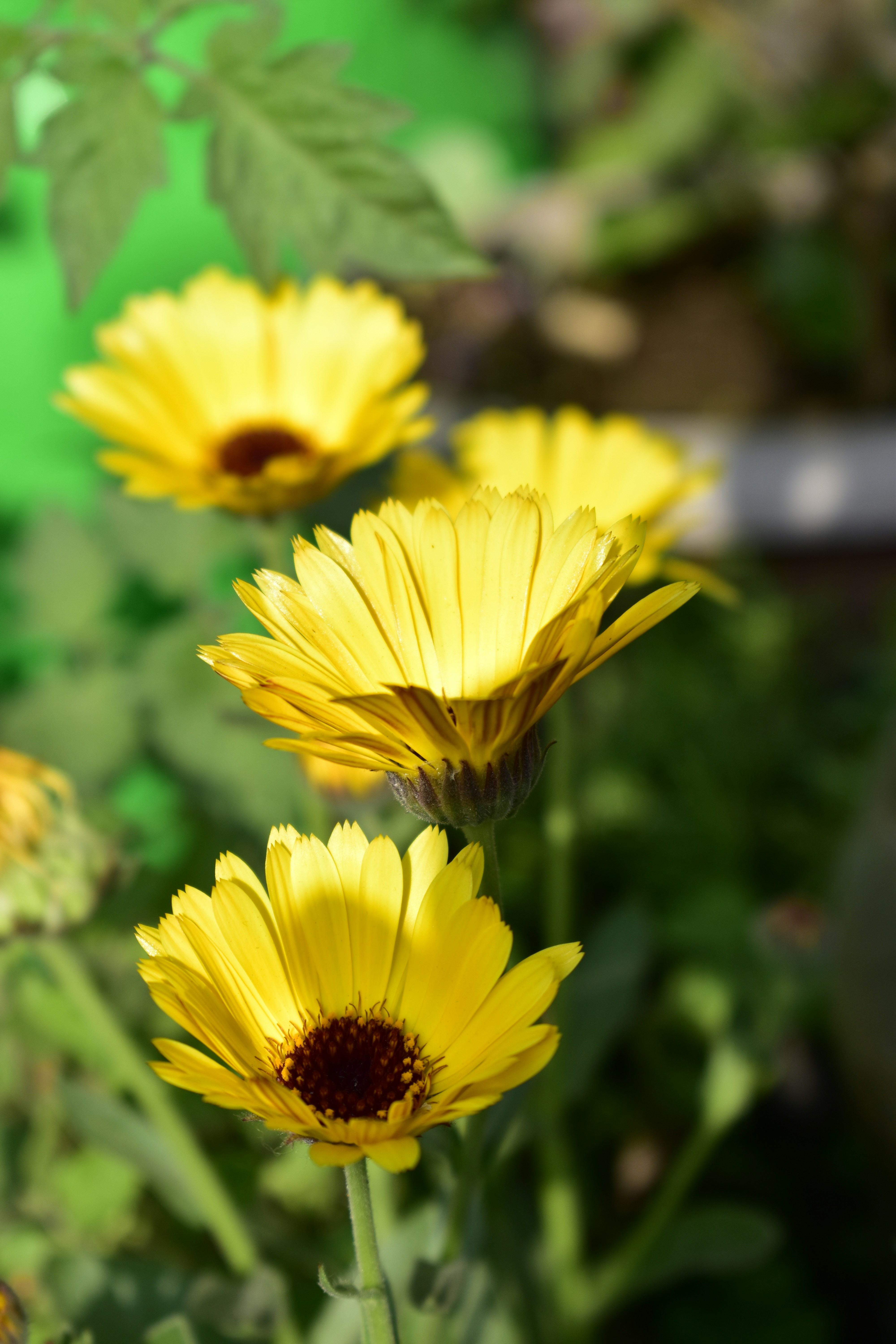 Photo by authordeepakgupta