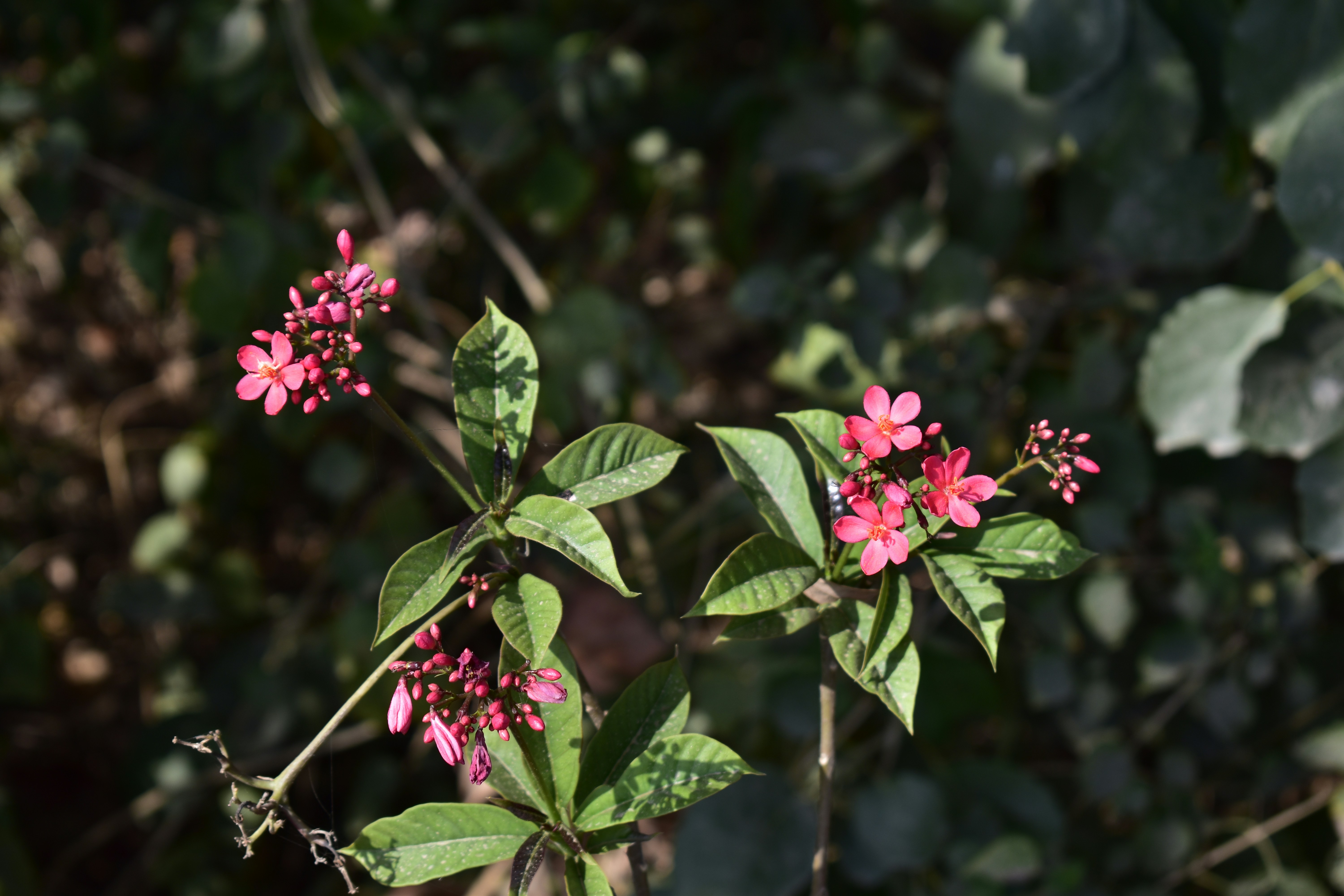 Photo by authordeepakgupta