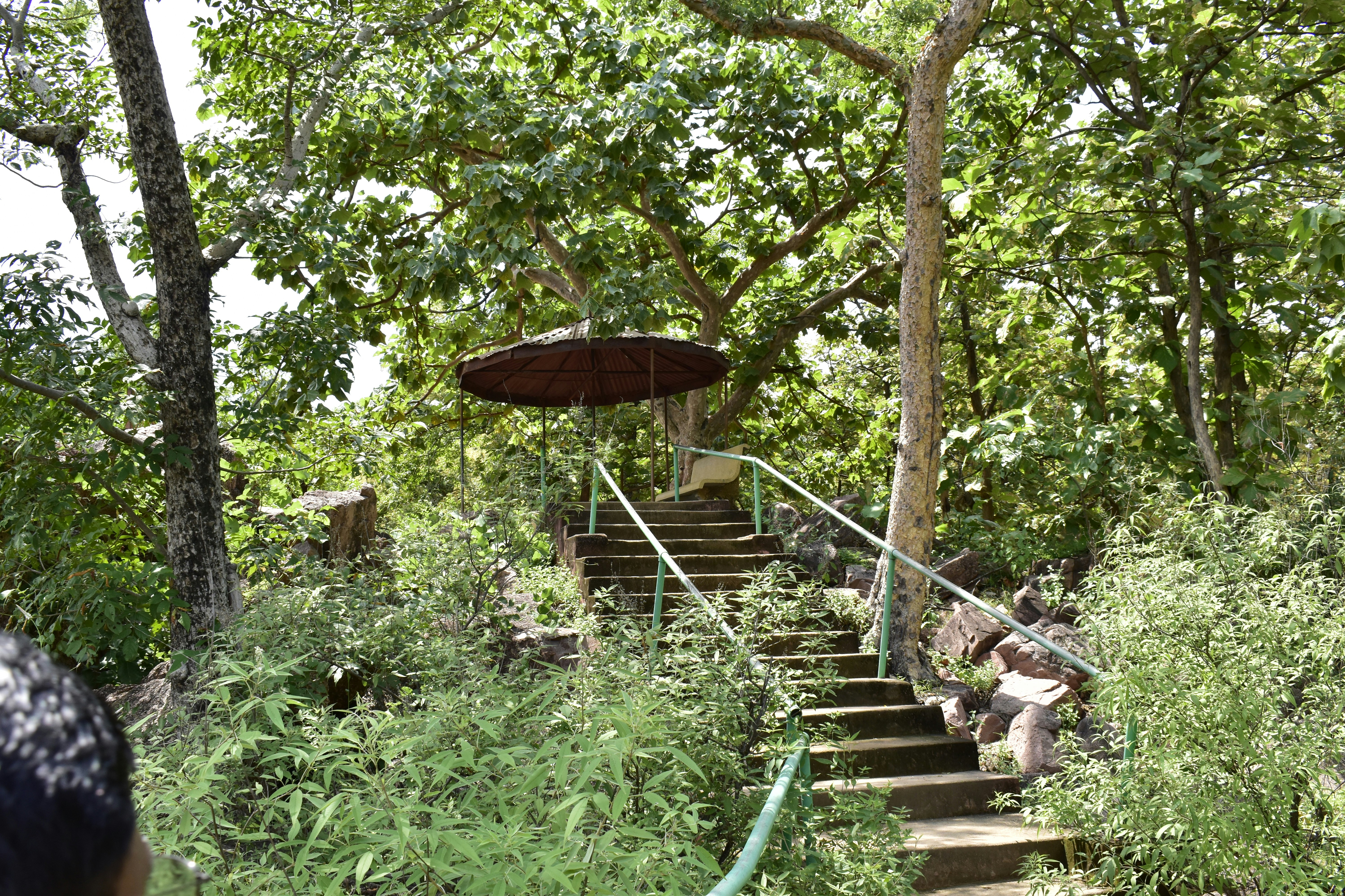 Photo by authordeepakgupta