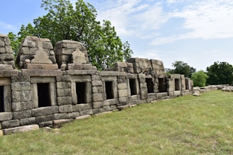a stone wall in a grassy area with trees in the background