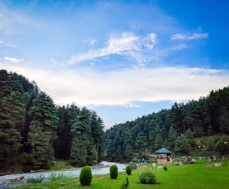 a grassy field with a river running through it
