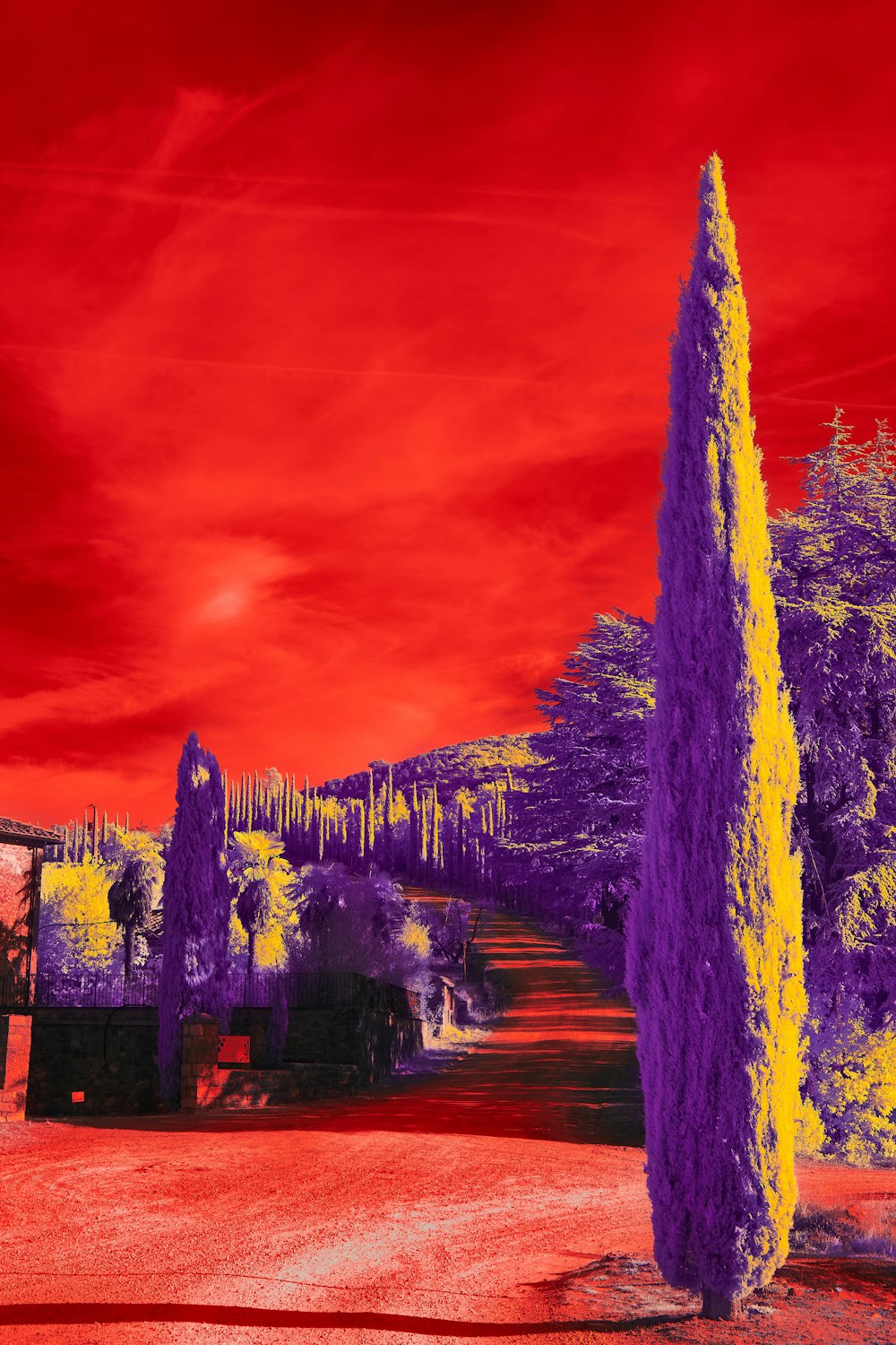 a painting of a red sky with purple trees